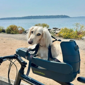 2025 Buddyrider? Series 2 Dog Bicycle Seat