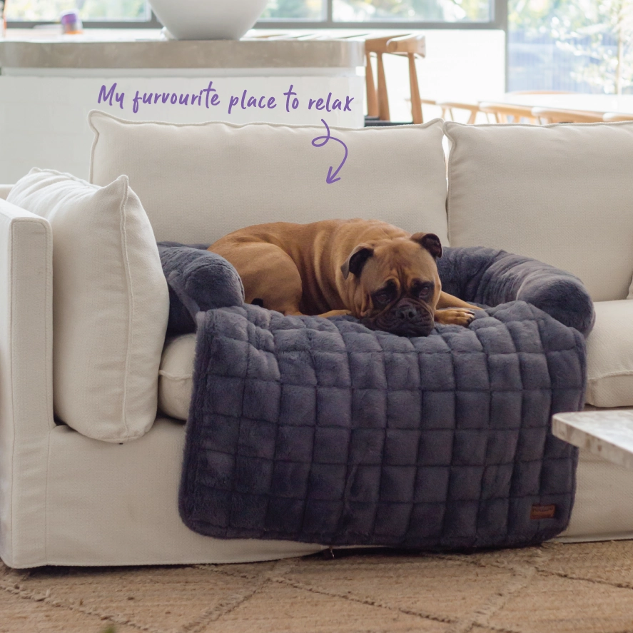 3-in-1 Couch n?? Car Cover Pet Bed - Dusk
