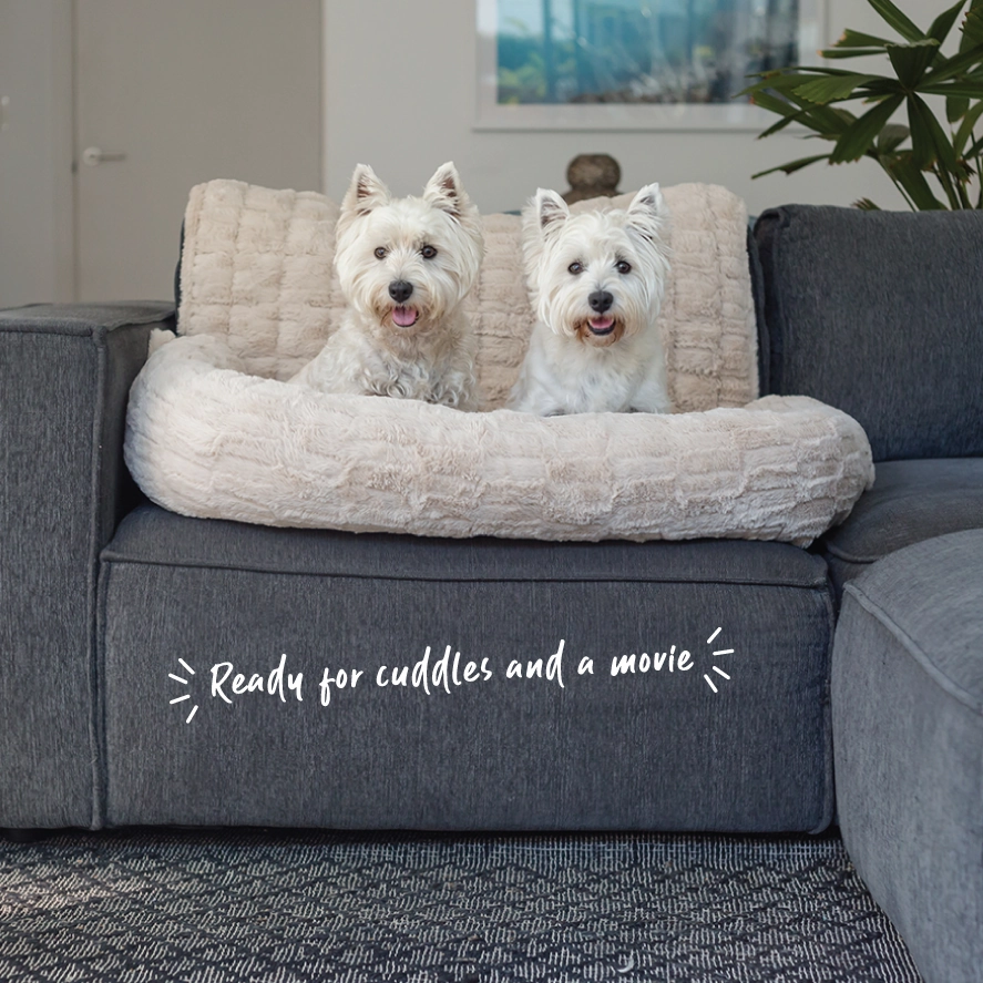 3-in-1 Couch n?? Car Cover Pet Bed - Honey