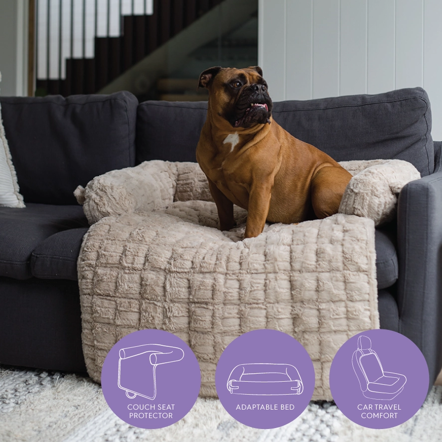 3-in-1 Couch n?? Car Cover Pet Bed - Honey