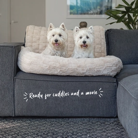 3-in-1 Couch n?? Car Cover Pet Bed - Honey