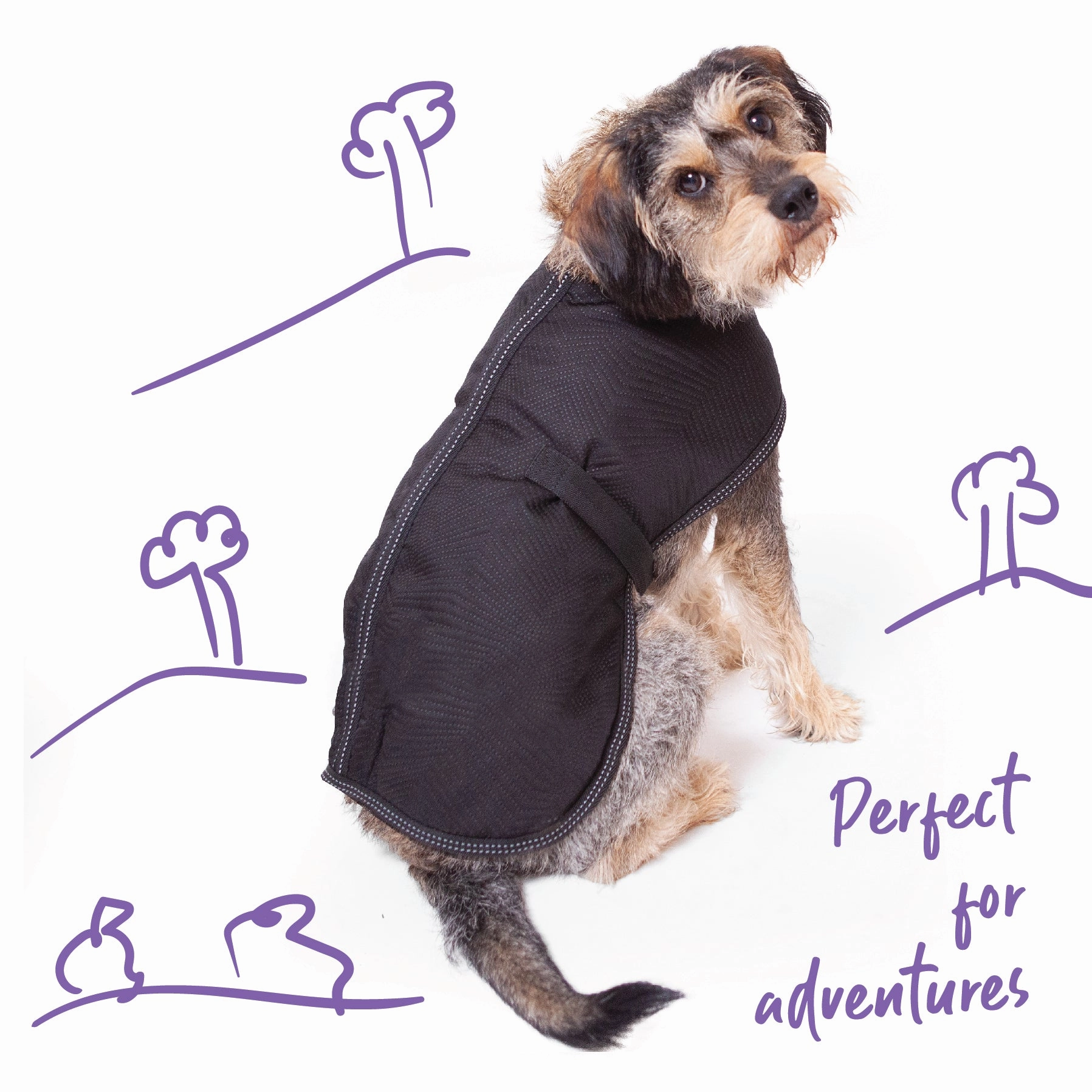 Adventure Dog Coat - Black