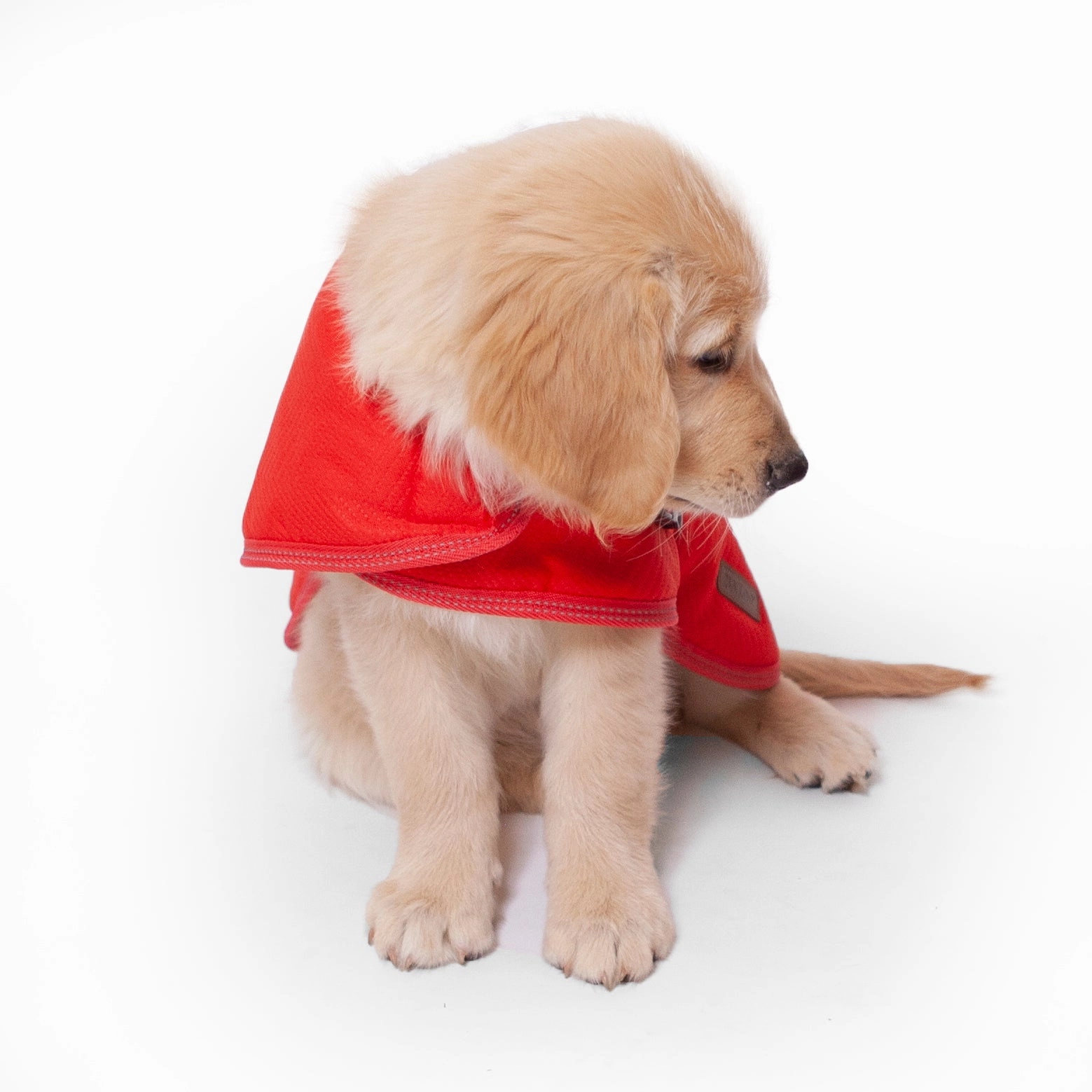 Adventure Dog Coat - Red