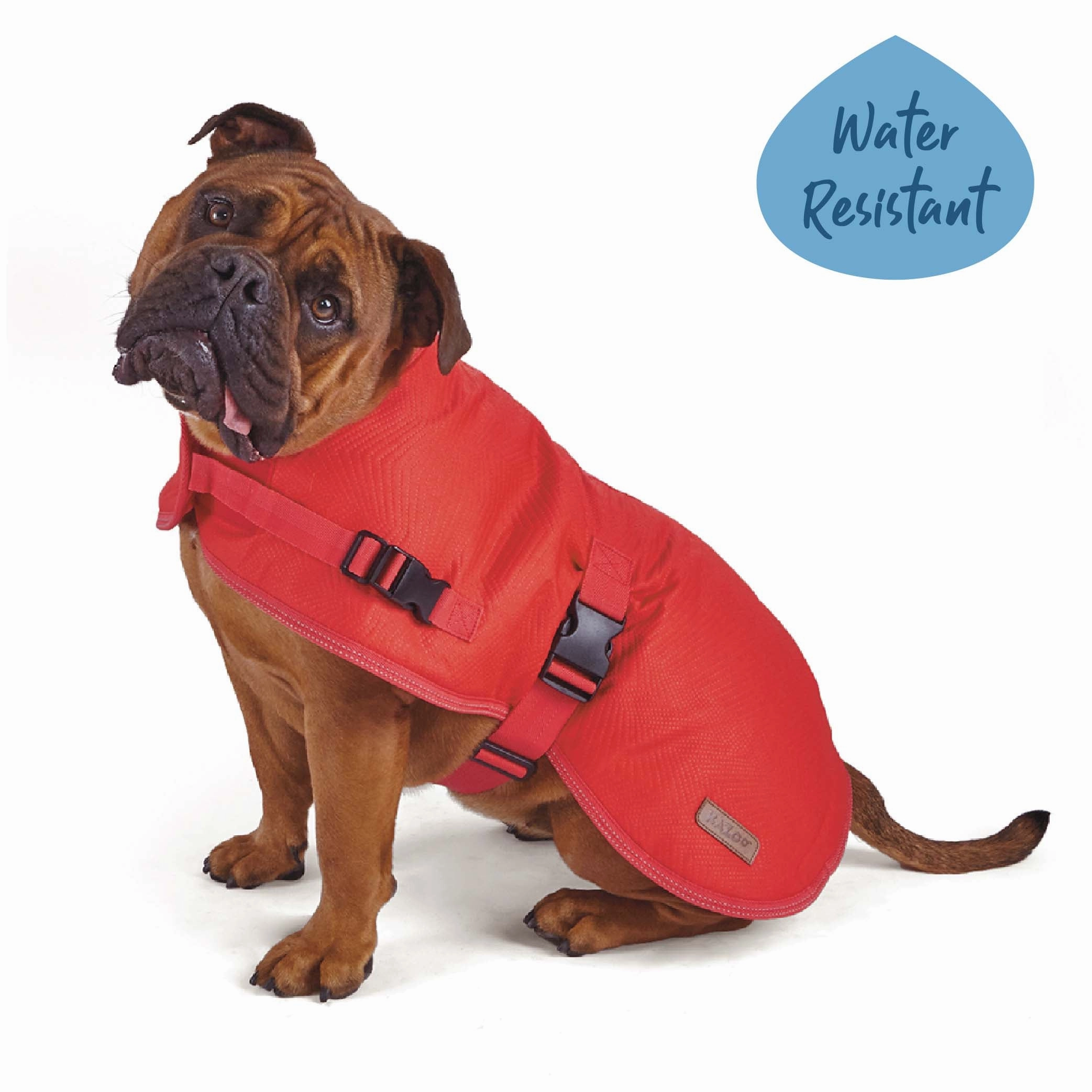 Adventure Dog Coat - Red