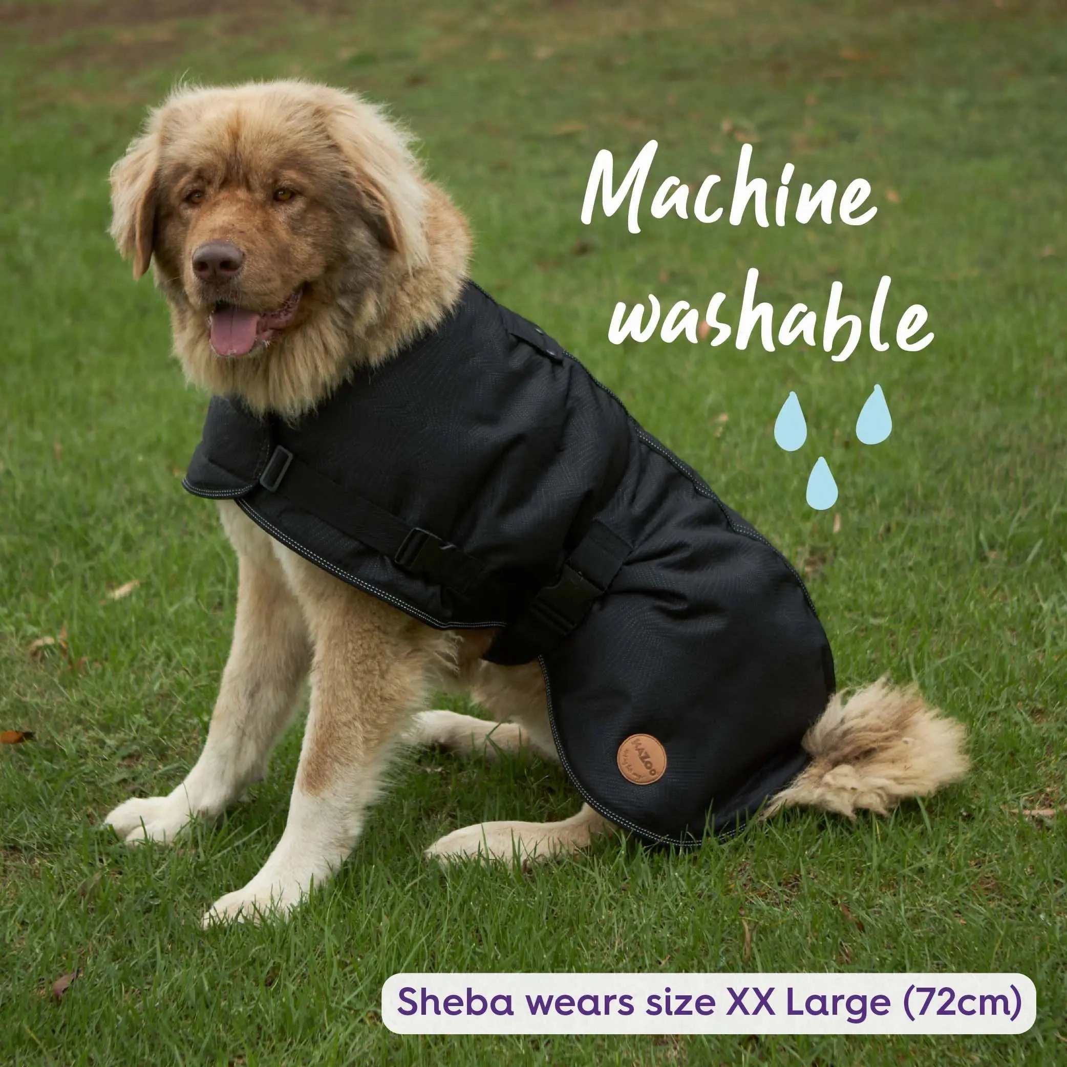 Adventure Dog Coat with Harness Hatch - Black