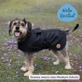 Adventure Dog Coat with Harness Hatch - Black