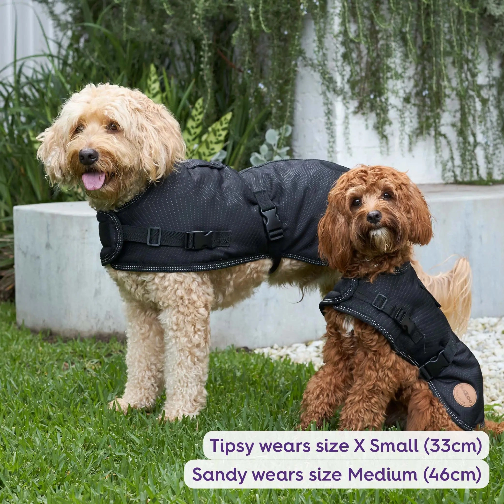 Adventure Dog Coat with Harness Hatch - Black