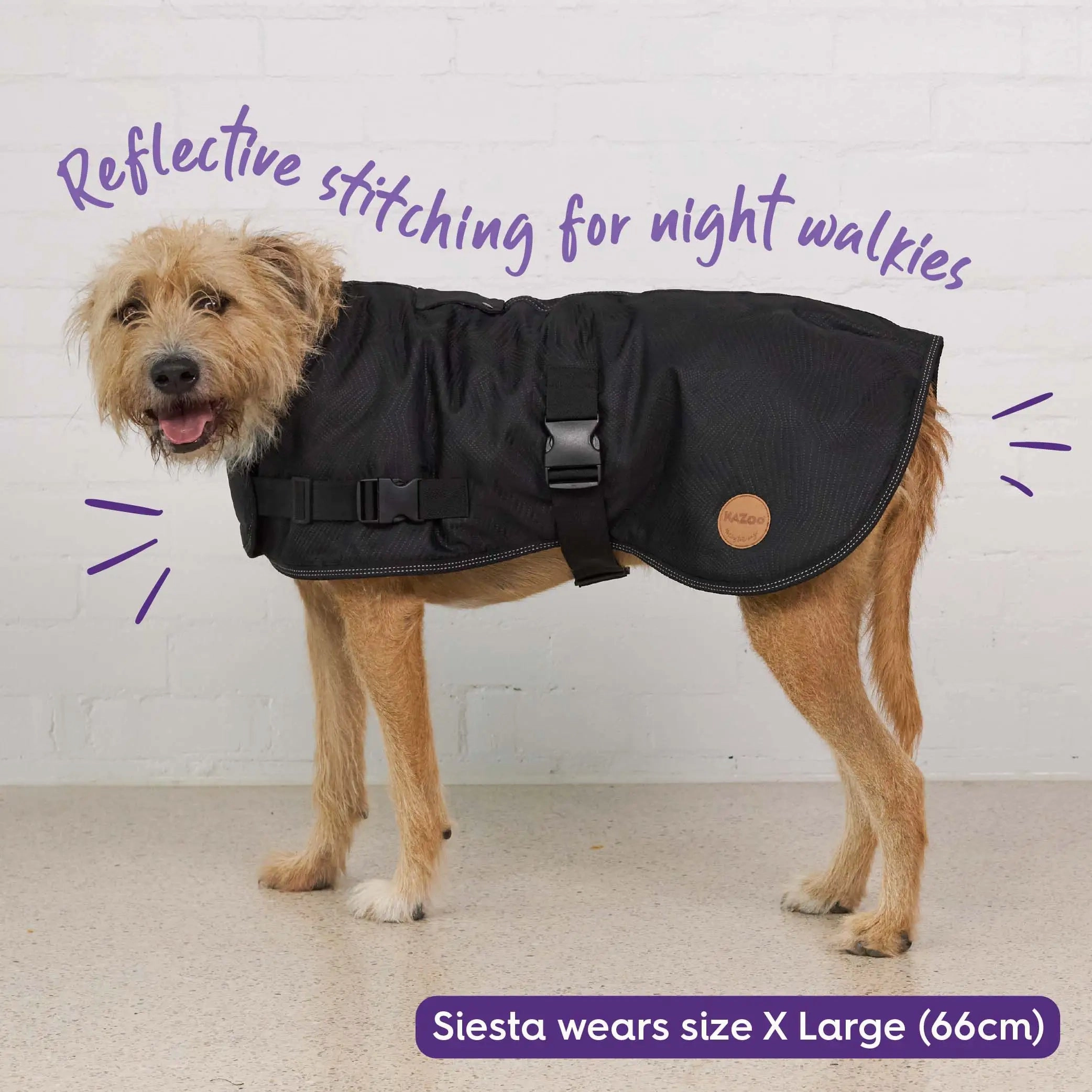 Adventure Dog Coat with Harness Hatch - Black