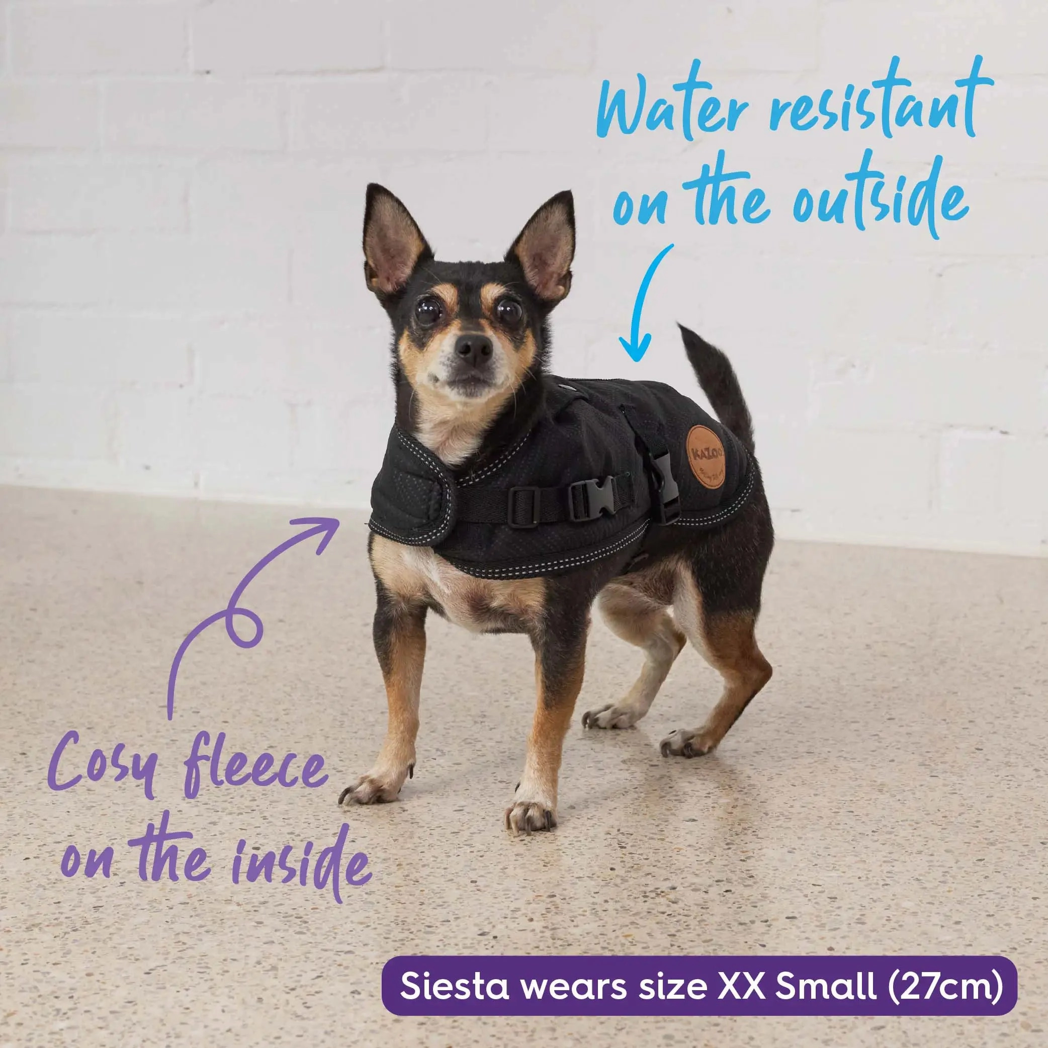 Adventure Dog Coat with Harness Hatch - Black