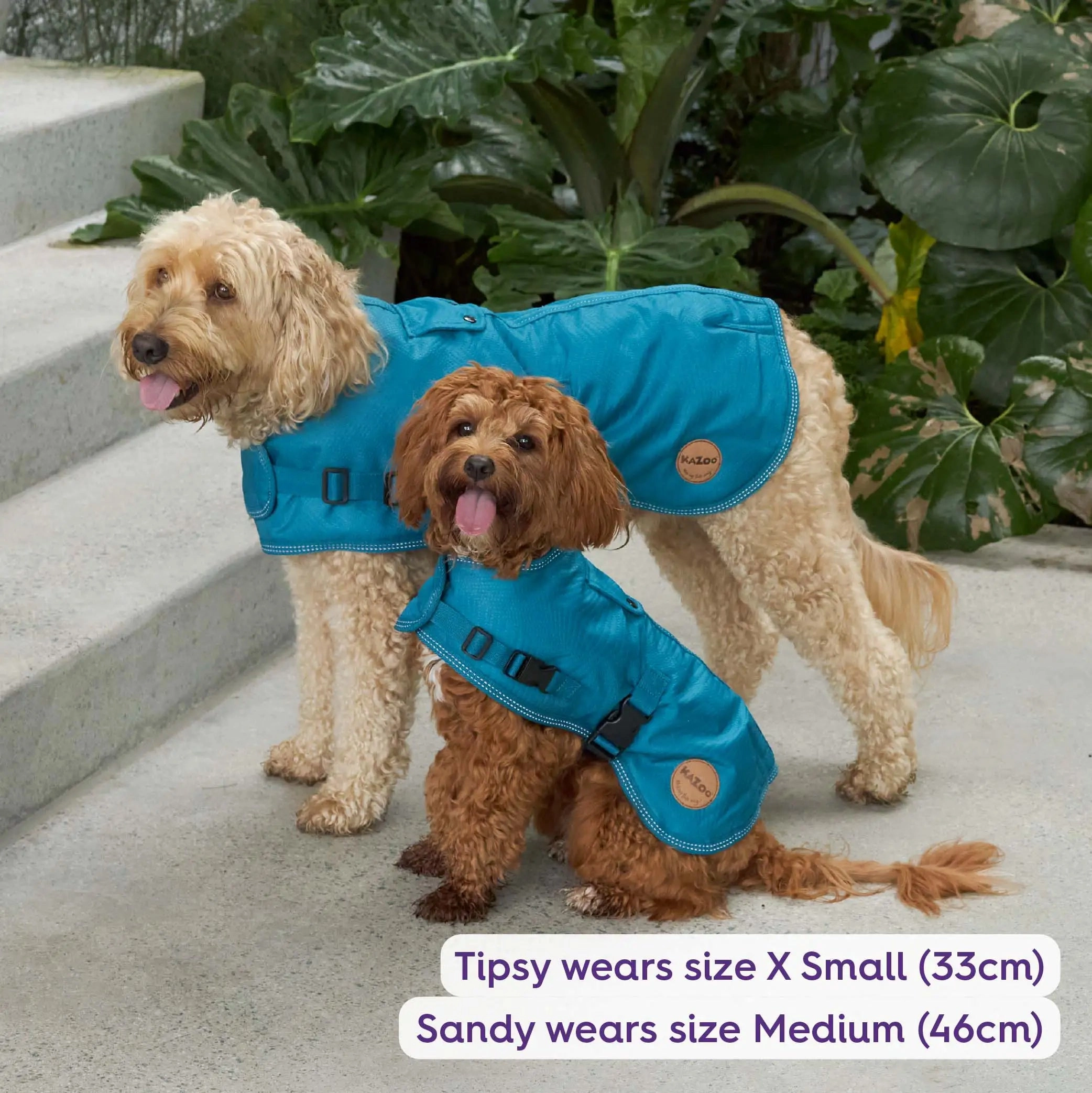 Adventure Dog Coat with Harness Hatch - Blue