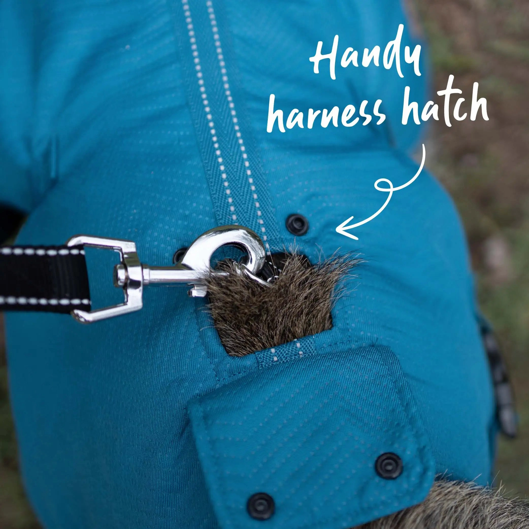 Adventure Dog Coat with Harness Hatch - Blue