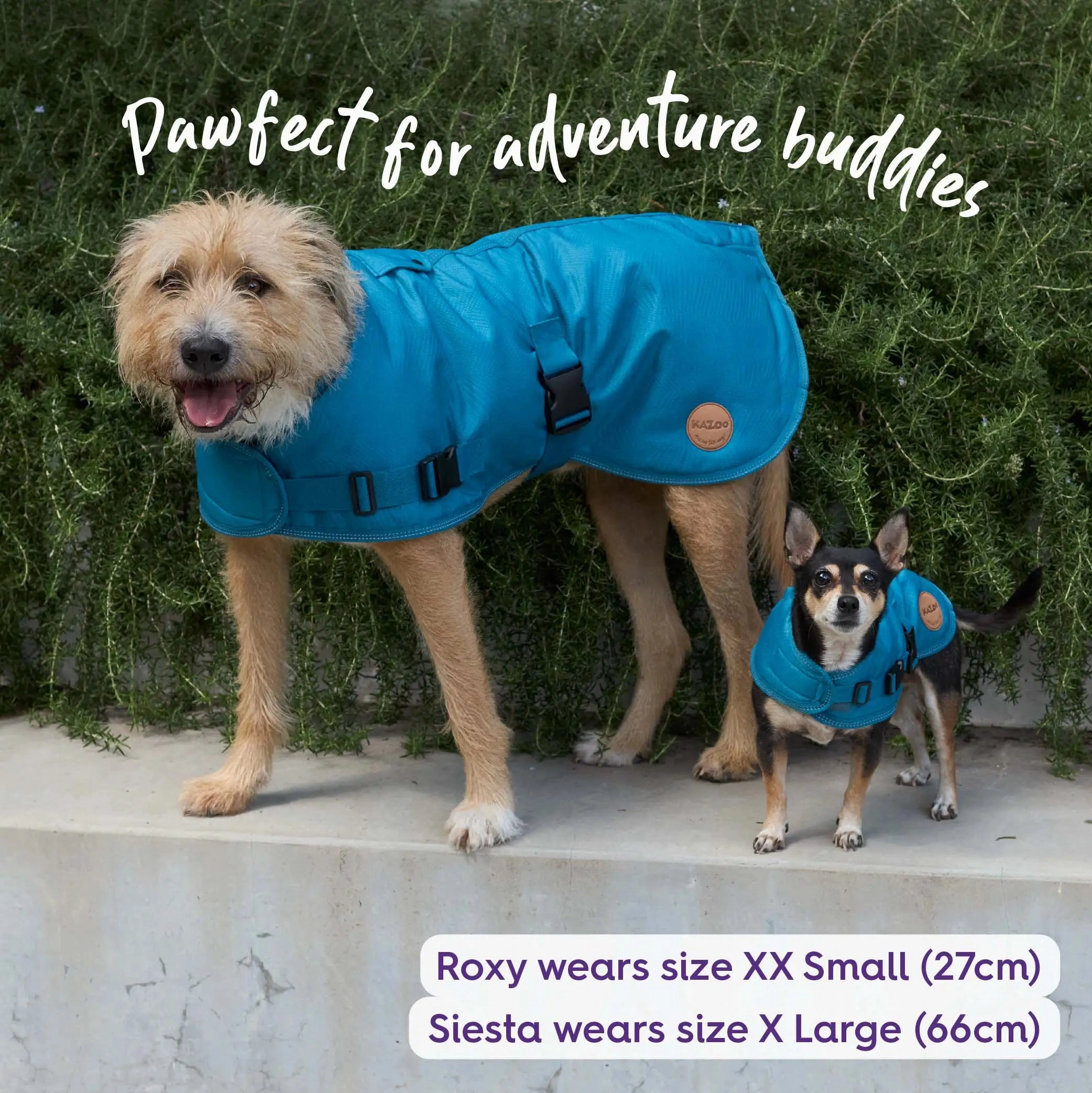 Adventure Dog Coat with Harness Hatch - Blue