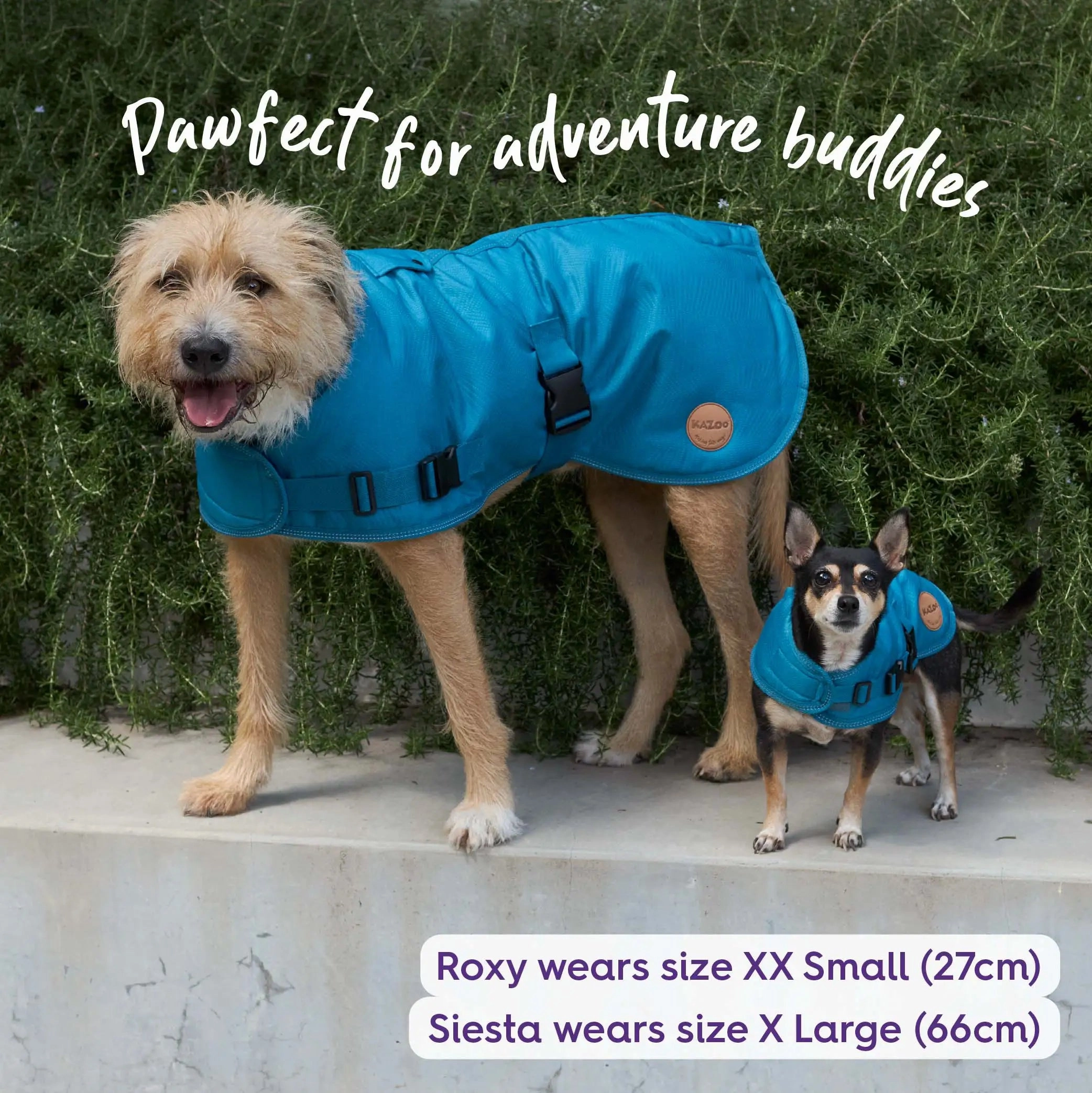 Adventure Dog Coat with Harness Hatch - Blue