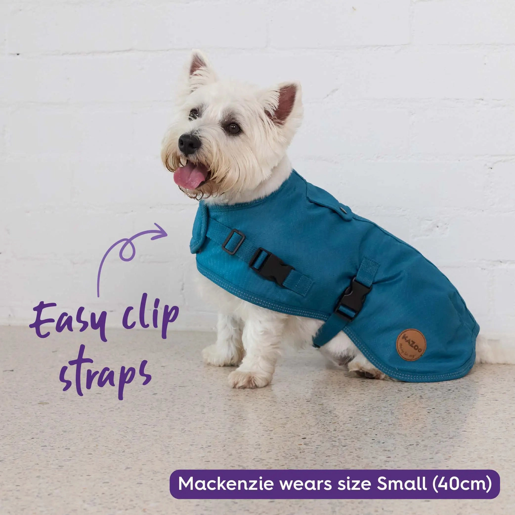 Adventure Dog Coat with Harness Hatch - Blue