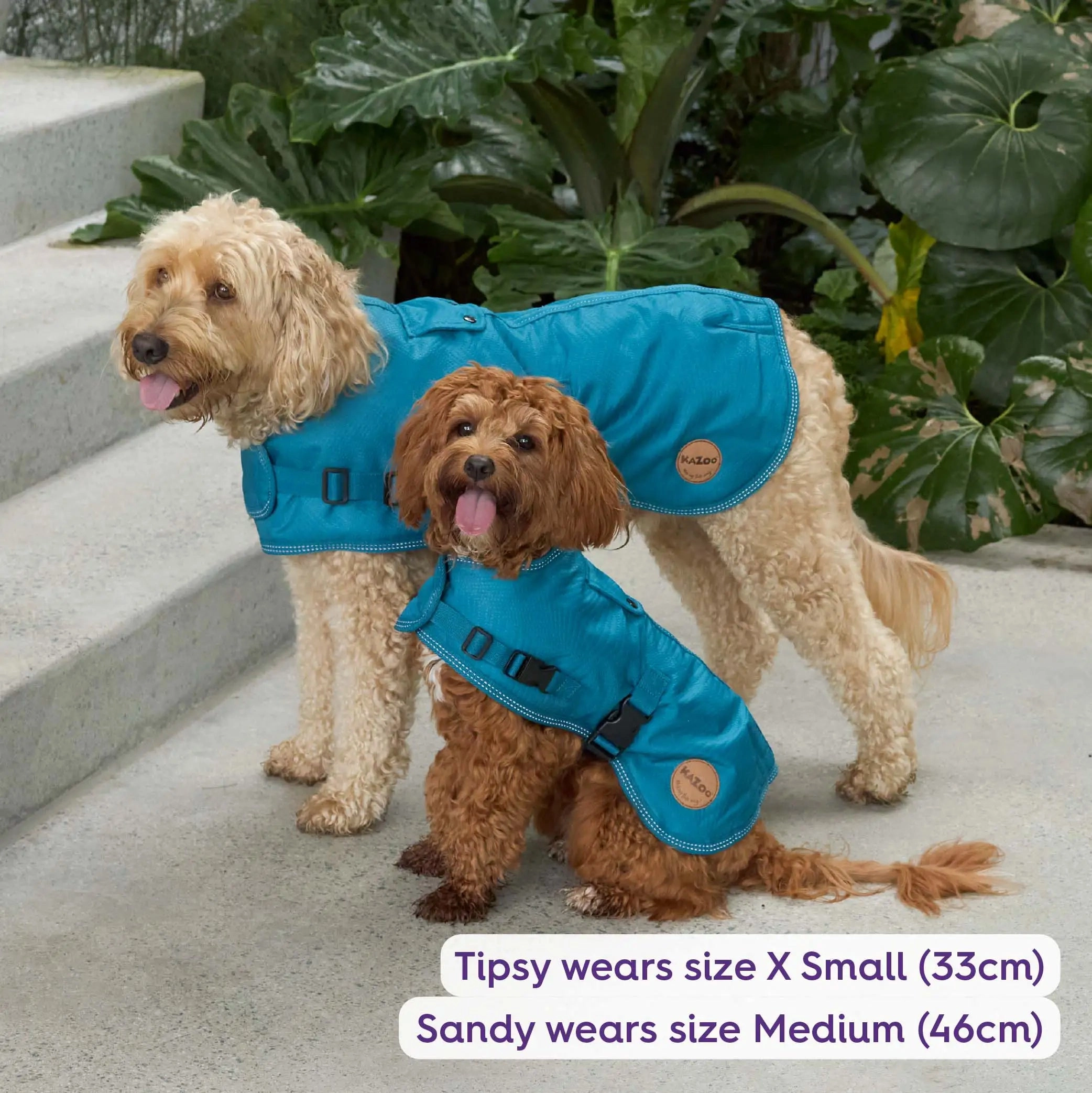 Adventure Dog Coat with Harness Hatch - Blue