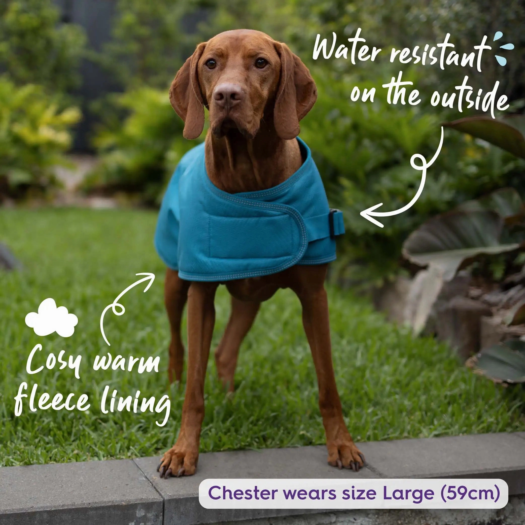 Adventure Dog Coat with Harness Hatch - Blue