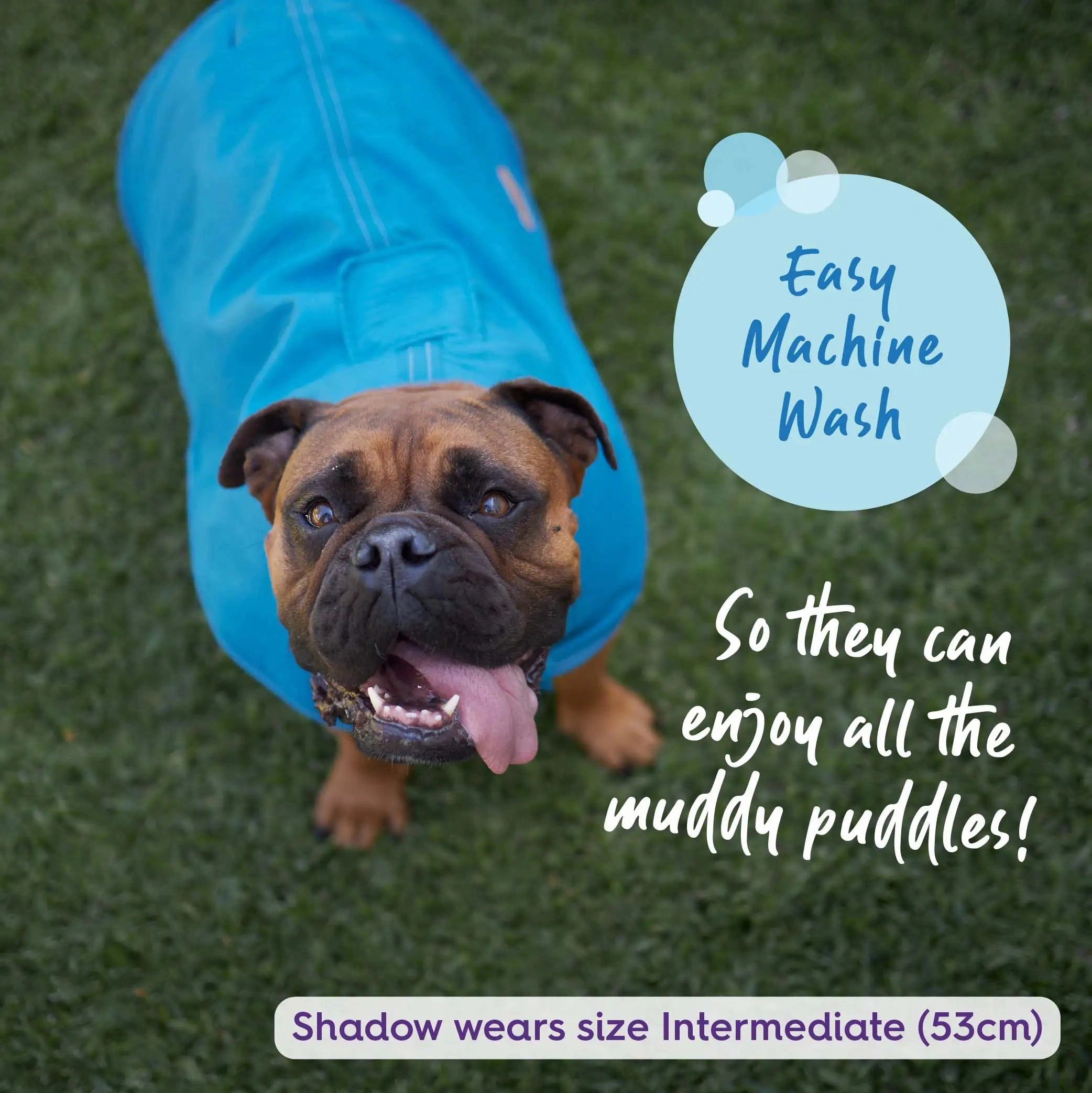 Adventure Dog Coat with Harness Hatch - Blue