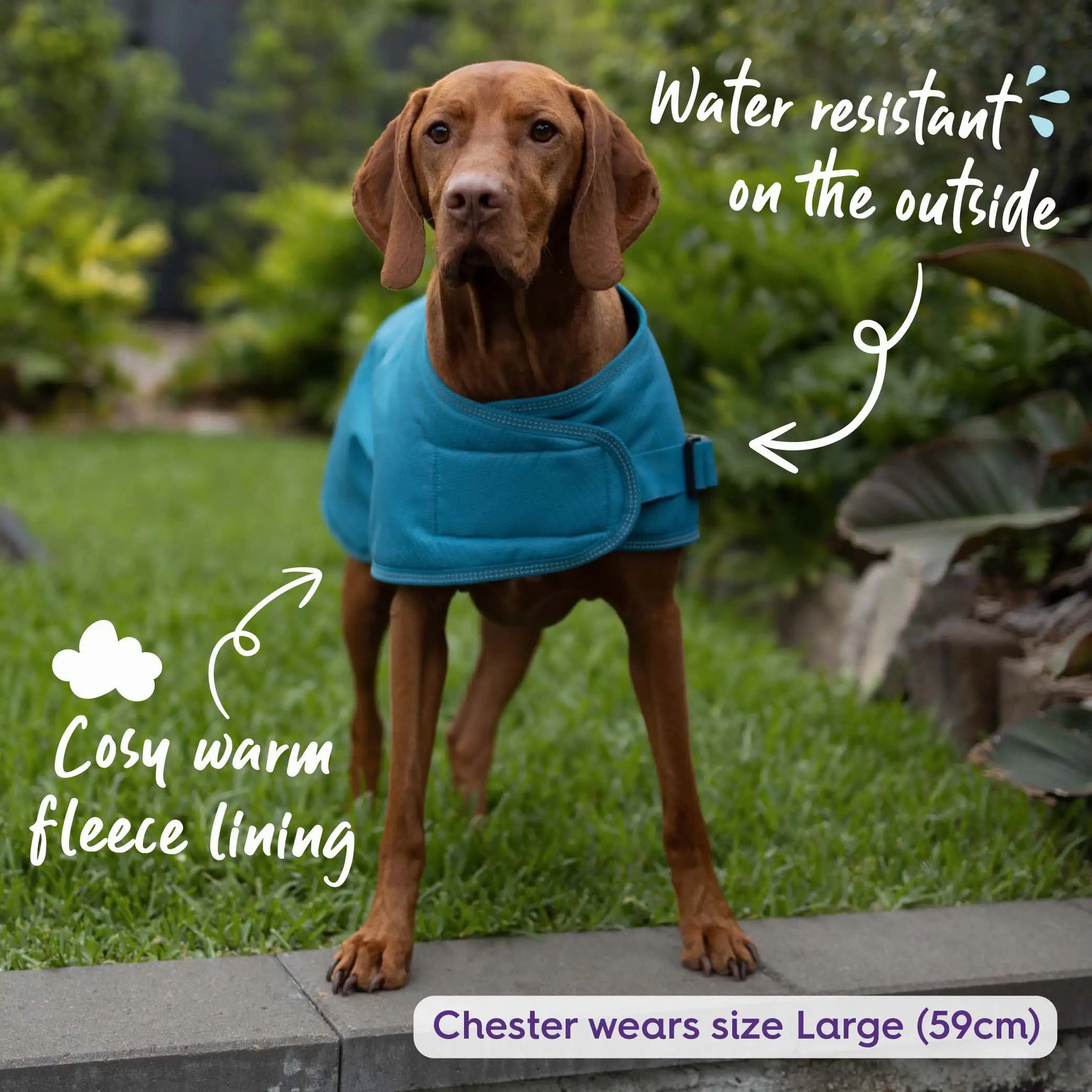 Adventure Dog Coat with Harness Hatch - Blue