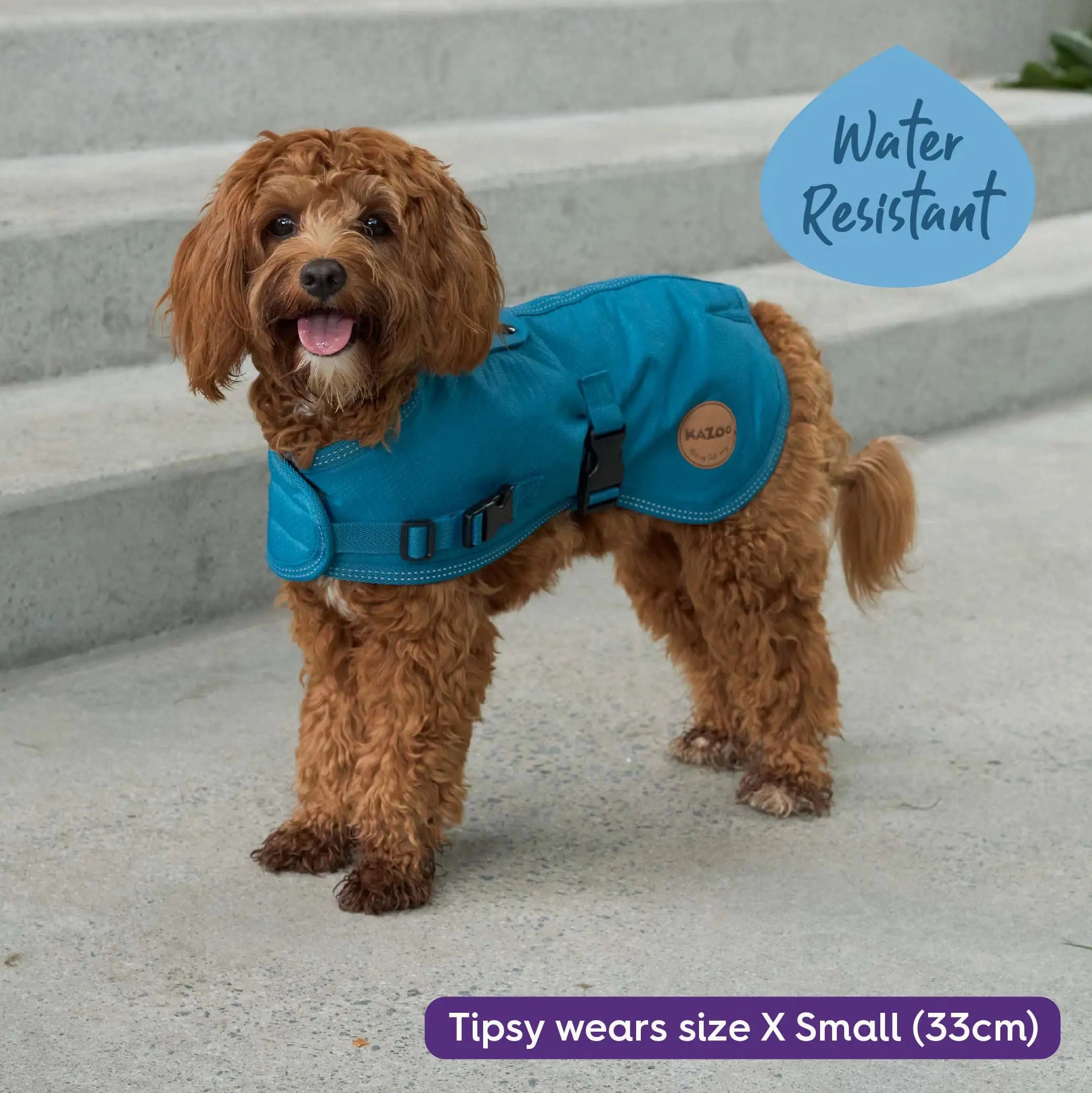 Adventure Dog Coat with Harness Hatch - Blue