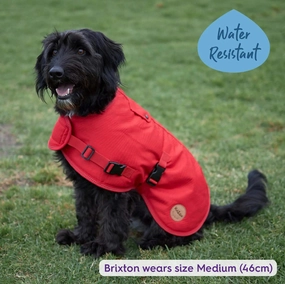 Adventure Dog Coat with Harness Hatch - Red