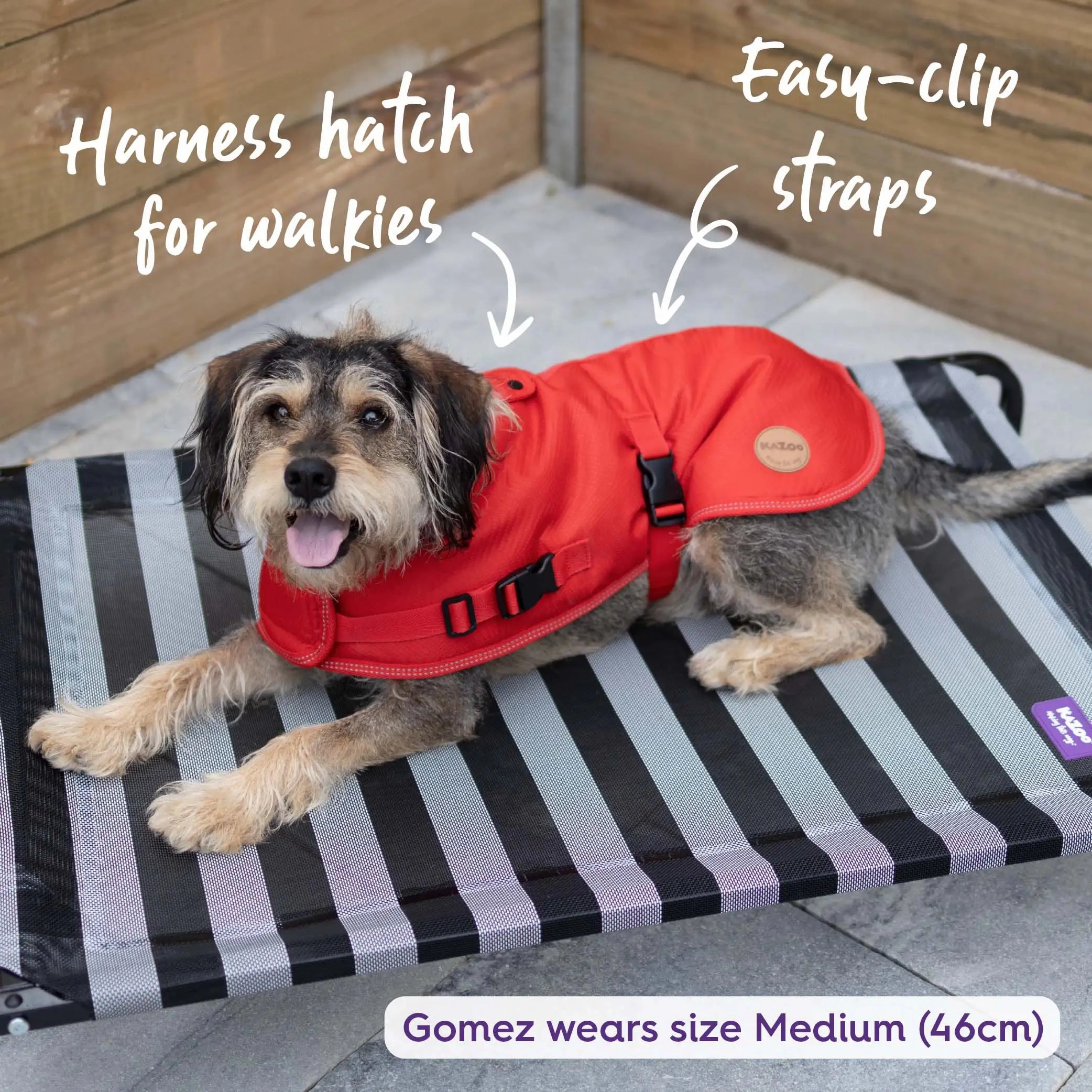 Adventure Dog Coat with Harness Hatch - Red