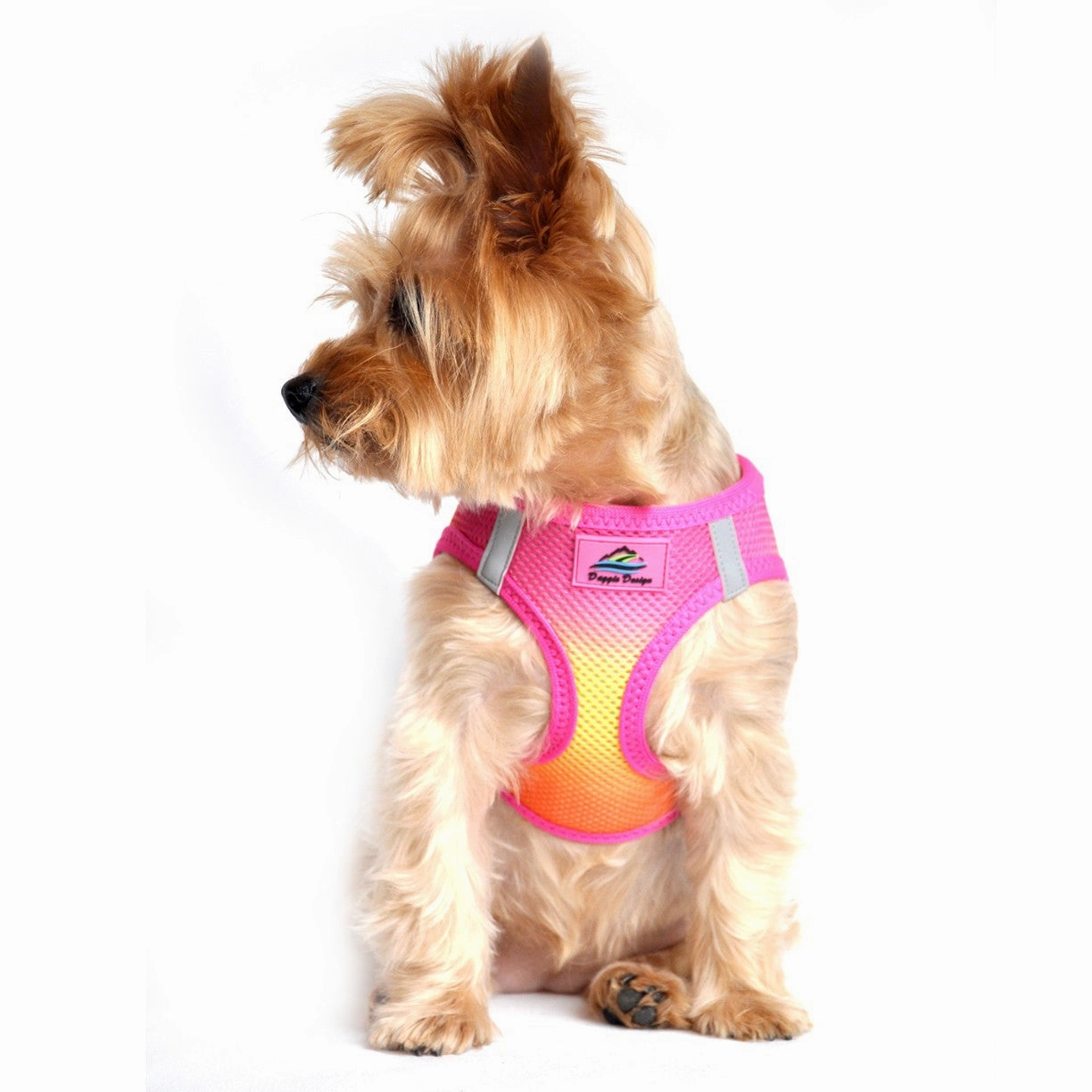 American River Choke-Free No-Pull Harness | Ombre