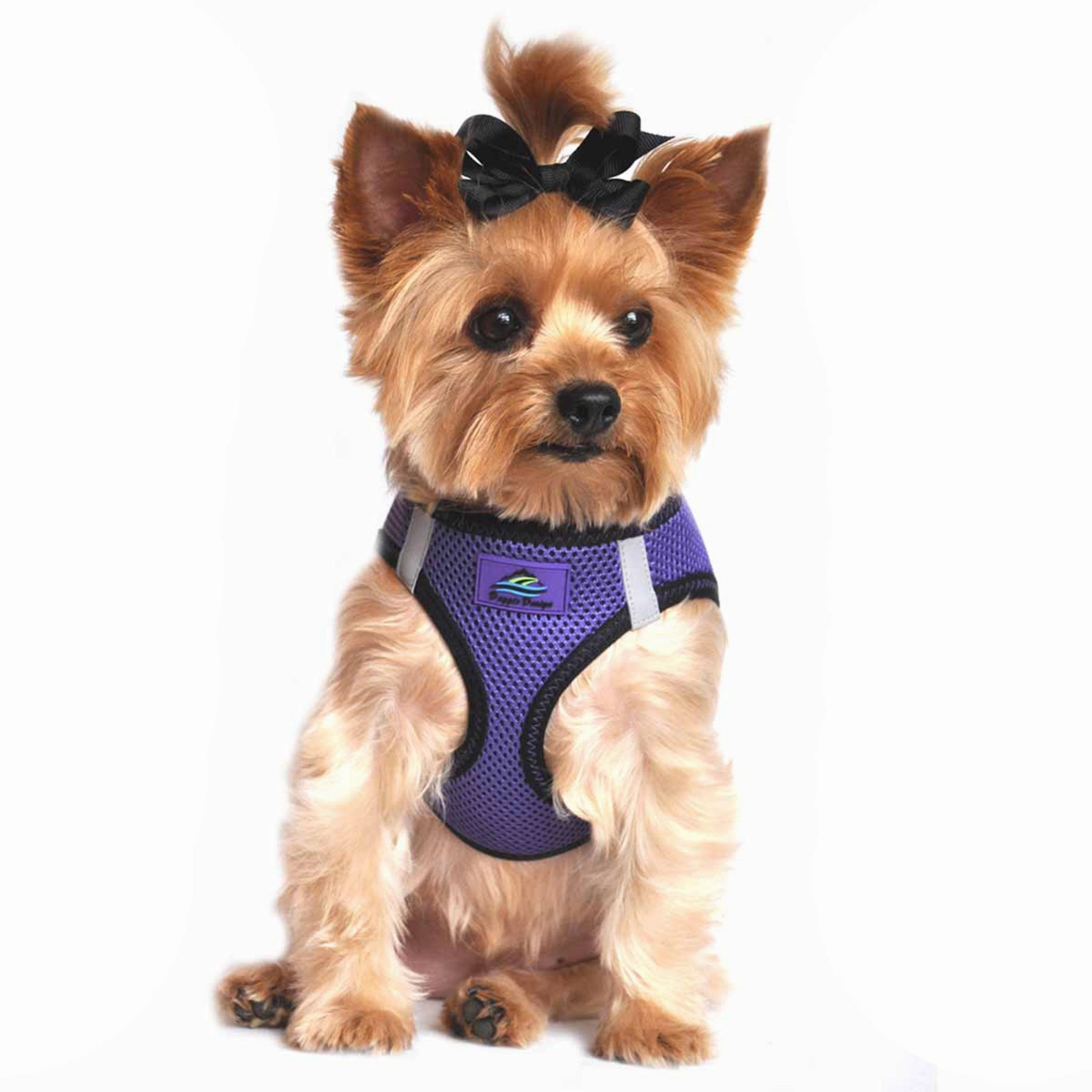 American River Top Stitch Choke-Free No-Pull Harness
