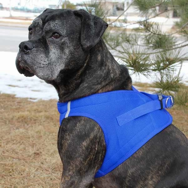 American River Top Stitch Choke-Free No-Pull Harness