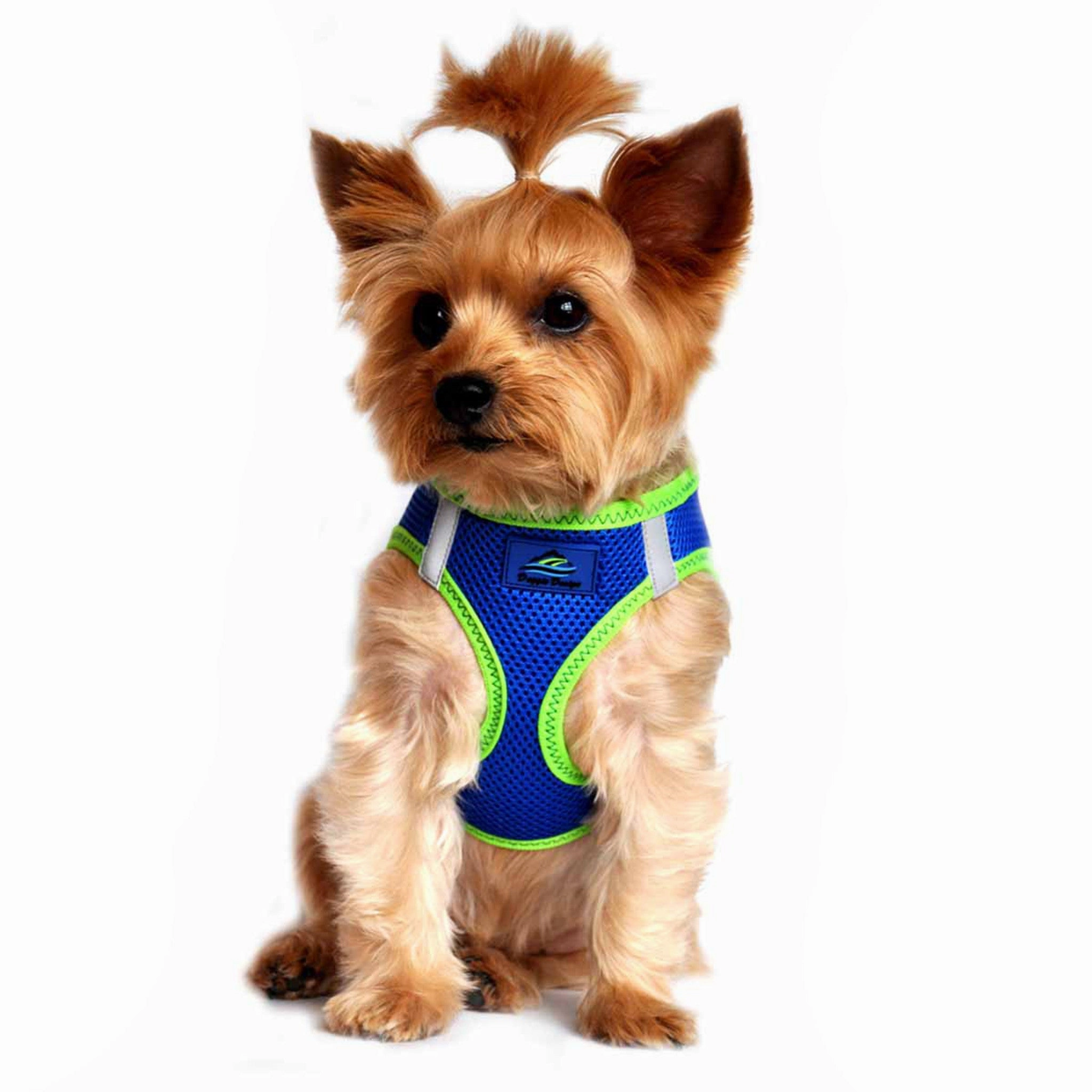 American River Top Stitch Choke-Free No-Pull Harness