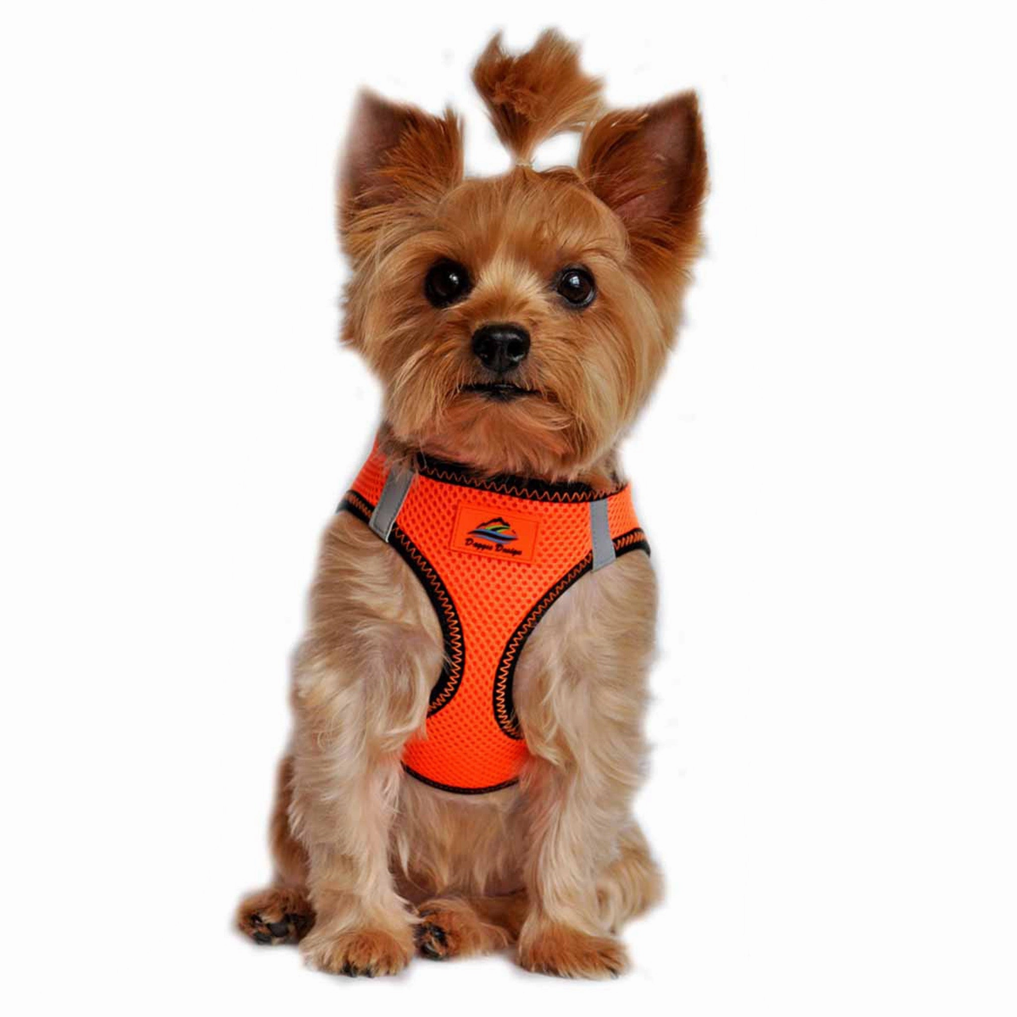 American River Top Stitch Choke-Free No-Pull Harness