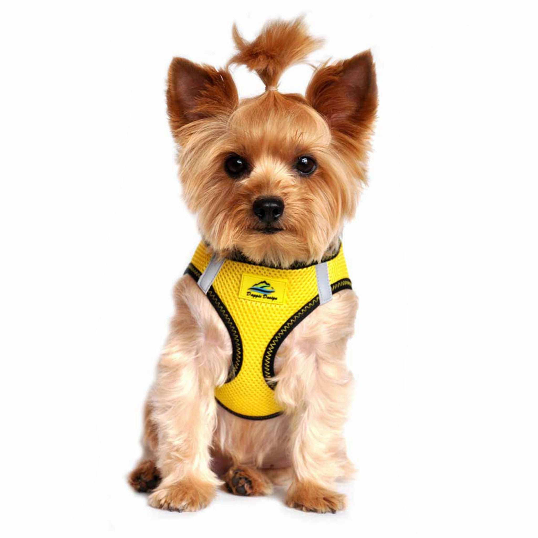 American River Top Stitch Choke-Free No-Pull Harness