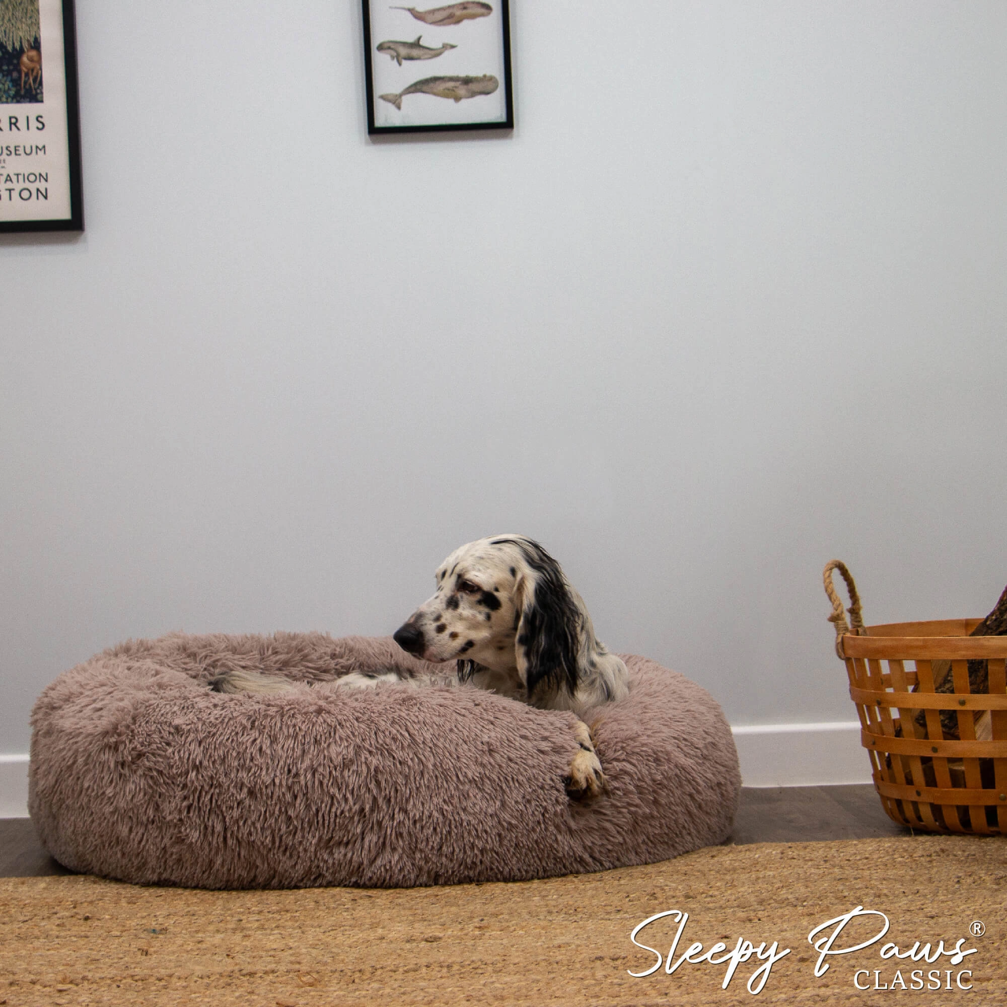 Ancol Super Soft Calming Dog Donut Bed