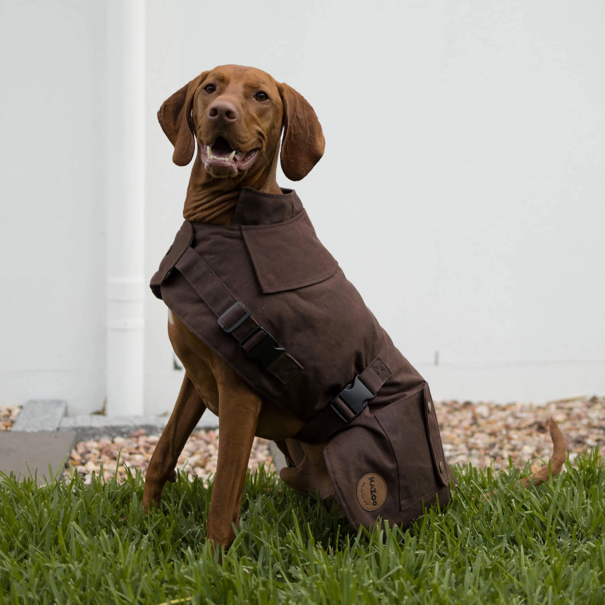 Aussie Oilskin Dog Coat - Brown