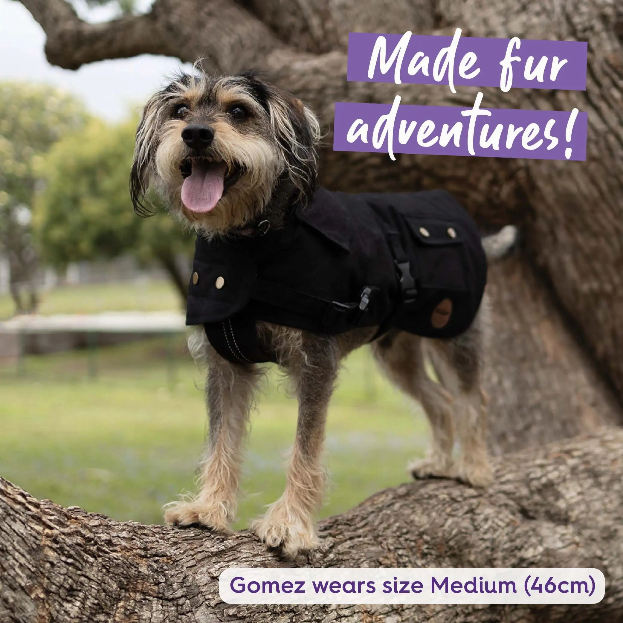Aussie Oilskin Waterproof Dog Coat - Black