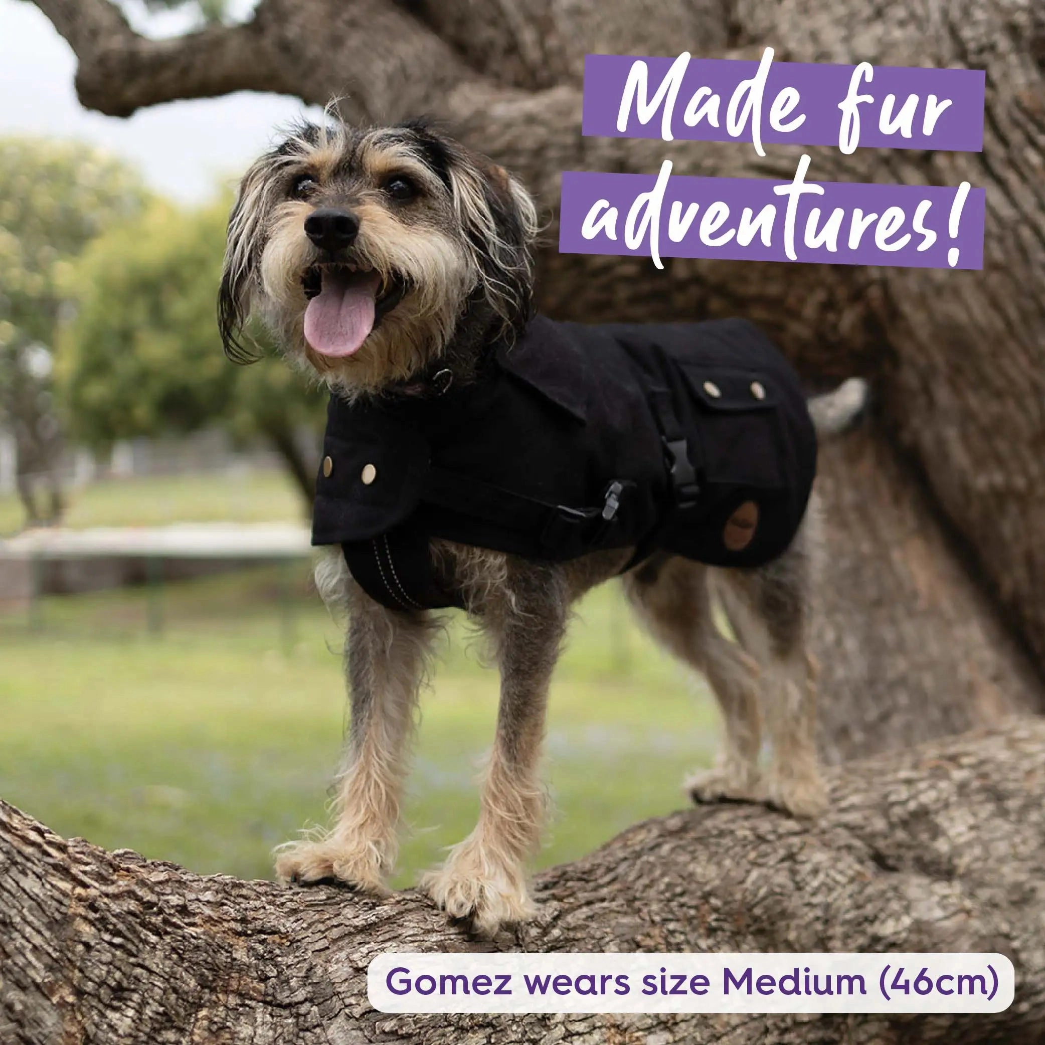 Aussie Oilskin Waterproof Dog Coat - Black