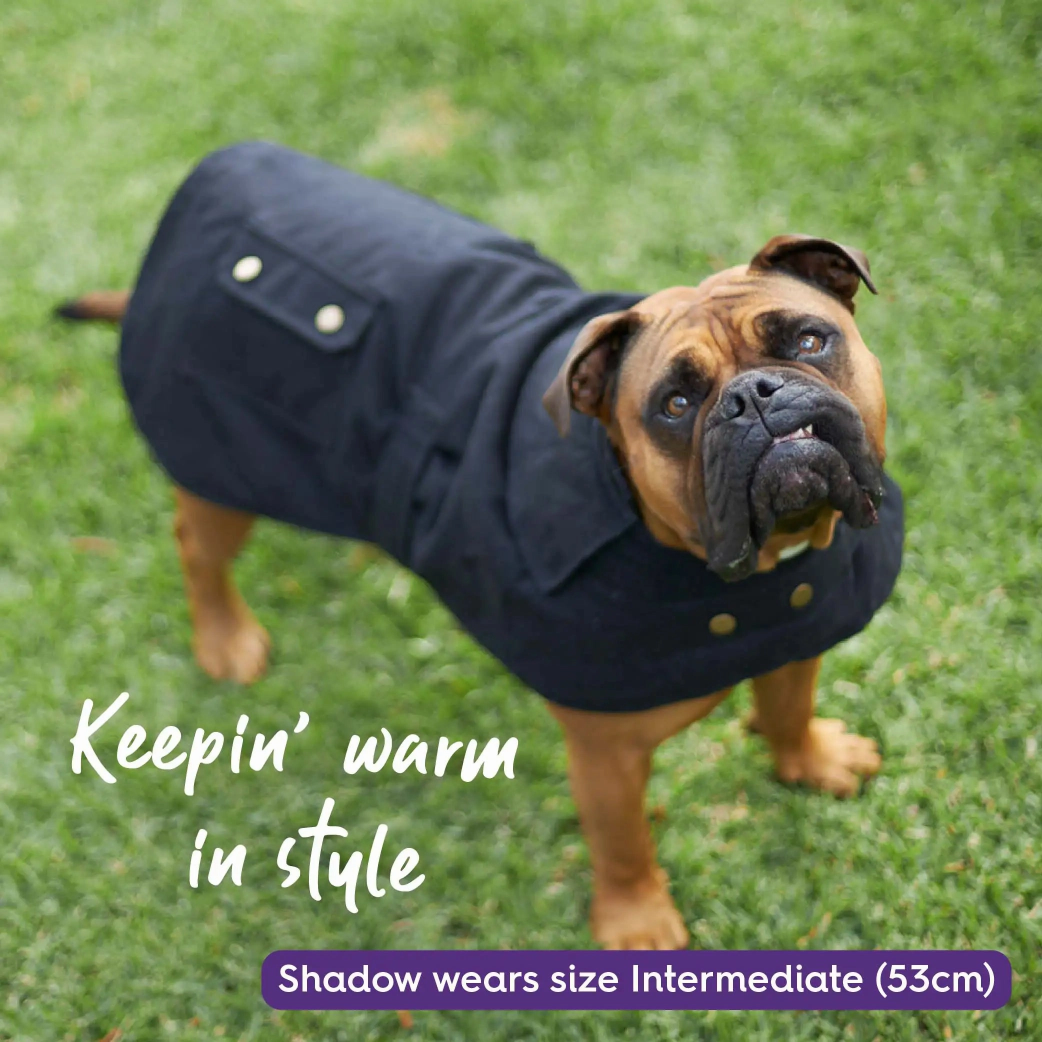 Aussie Oilskin Waterproof Dog Coat - Black