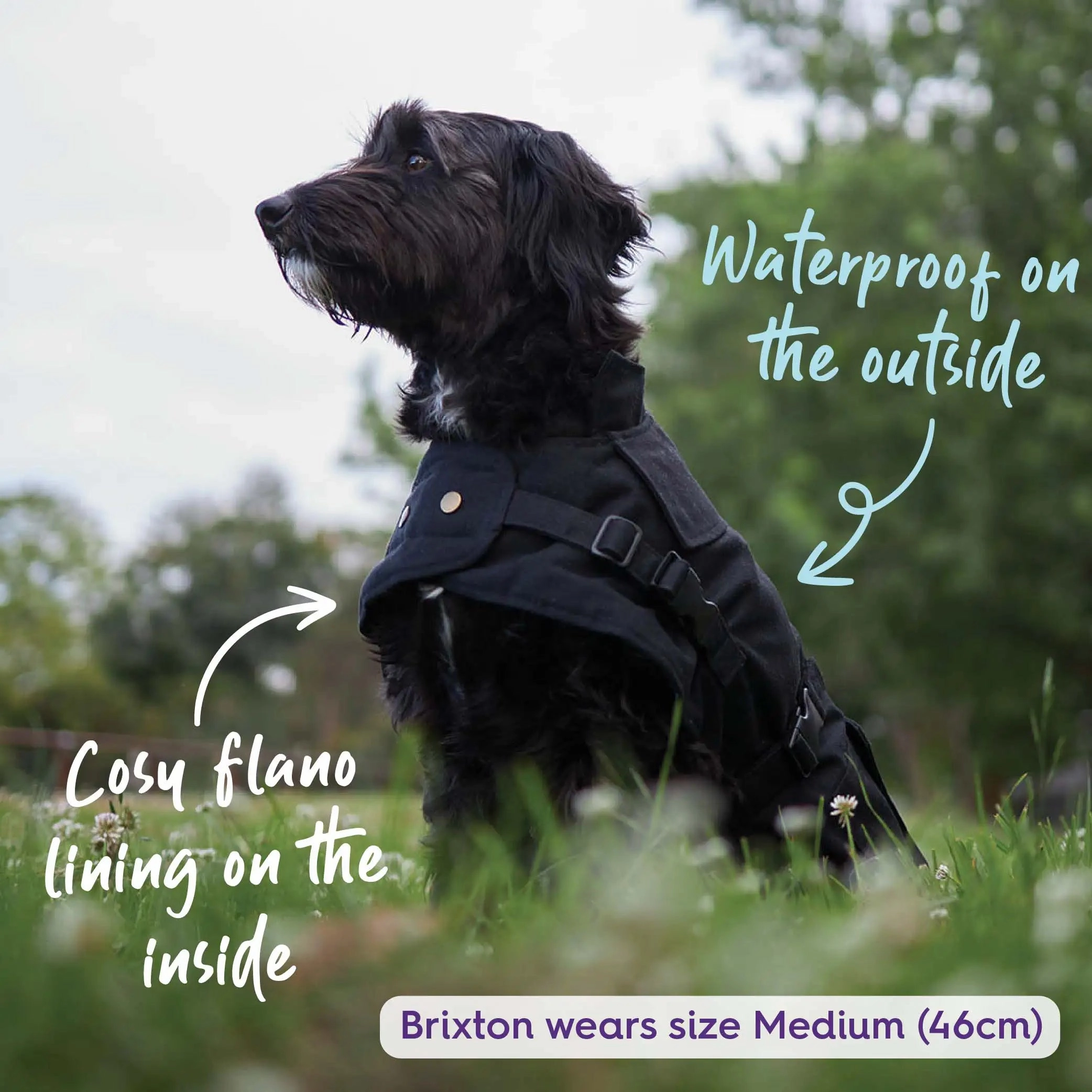 Aussie Oilskin Waterproof Dog Coat - Black