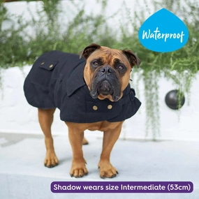 Aussie Oilskin Waterproof Dog Coat - Black