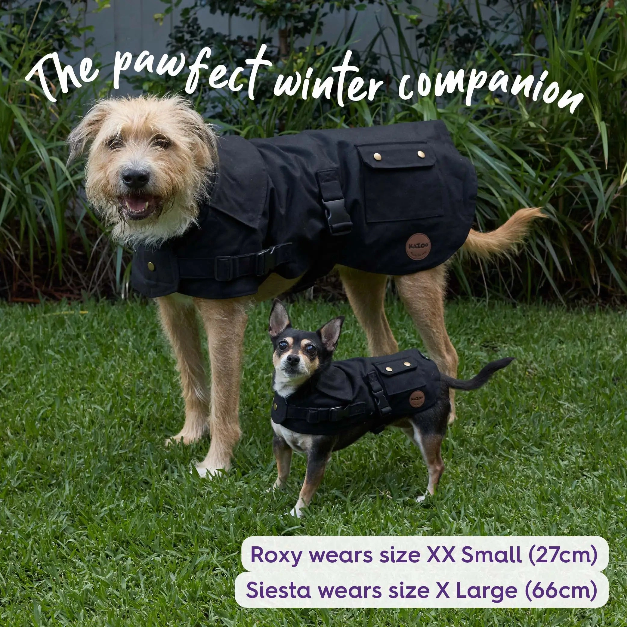 Aussie Oilskin Waterproof Dog Coat - Black