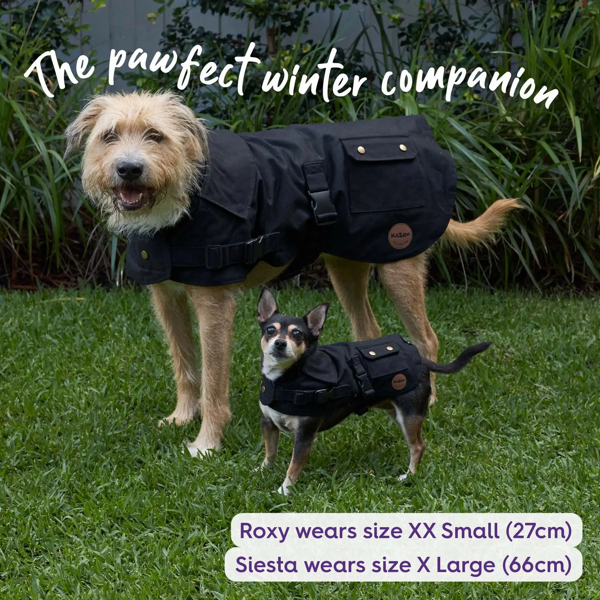Aussie Oilskin Waterproof Dog Coat - Black