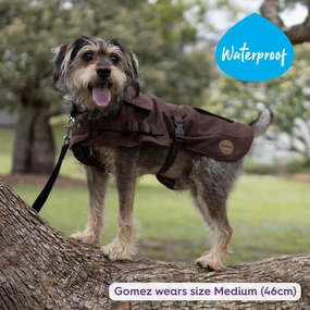 Aussie Oilskin Waterproof Dog Coat - Brown