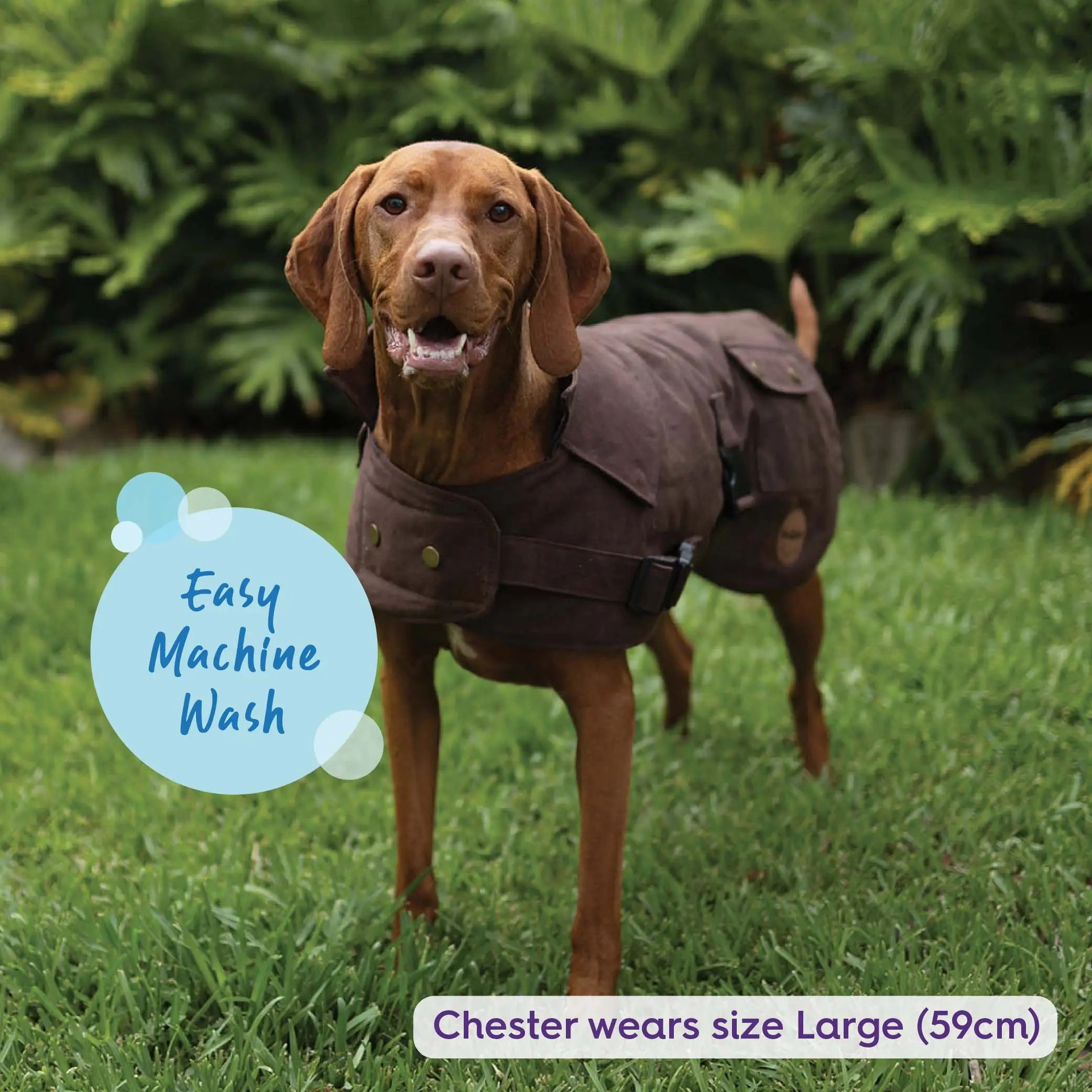 Aussie Oilskin Waterproof Dog Coat - Brown