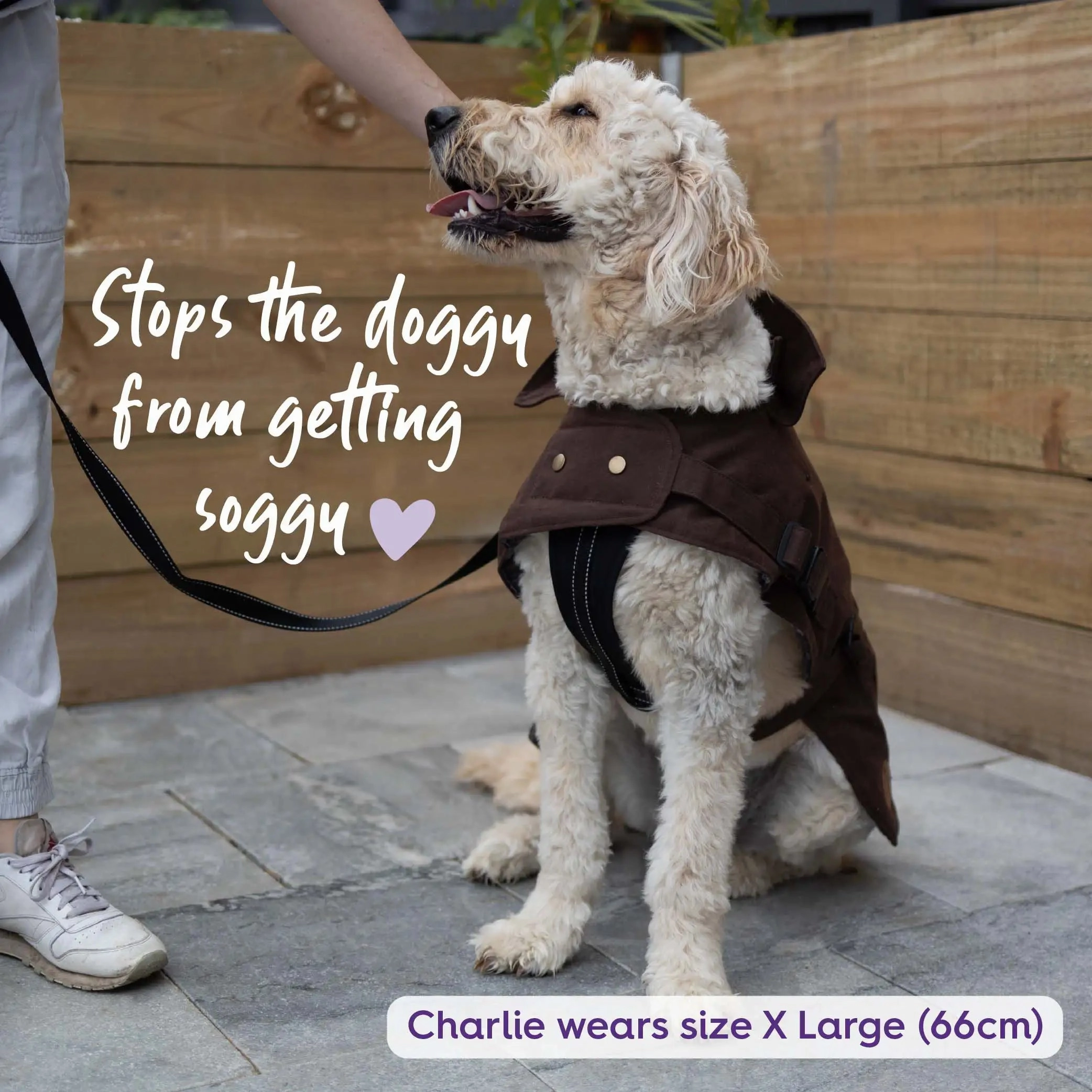 Aussie Oilskin Waterproof Dog Coat - Brown