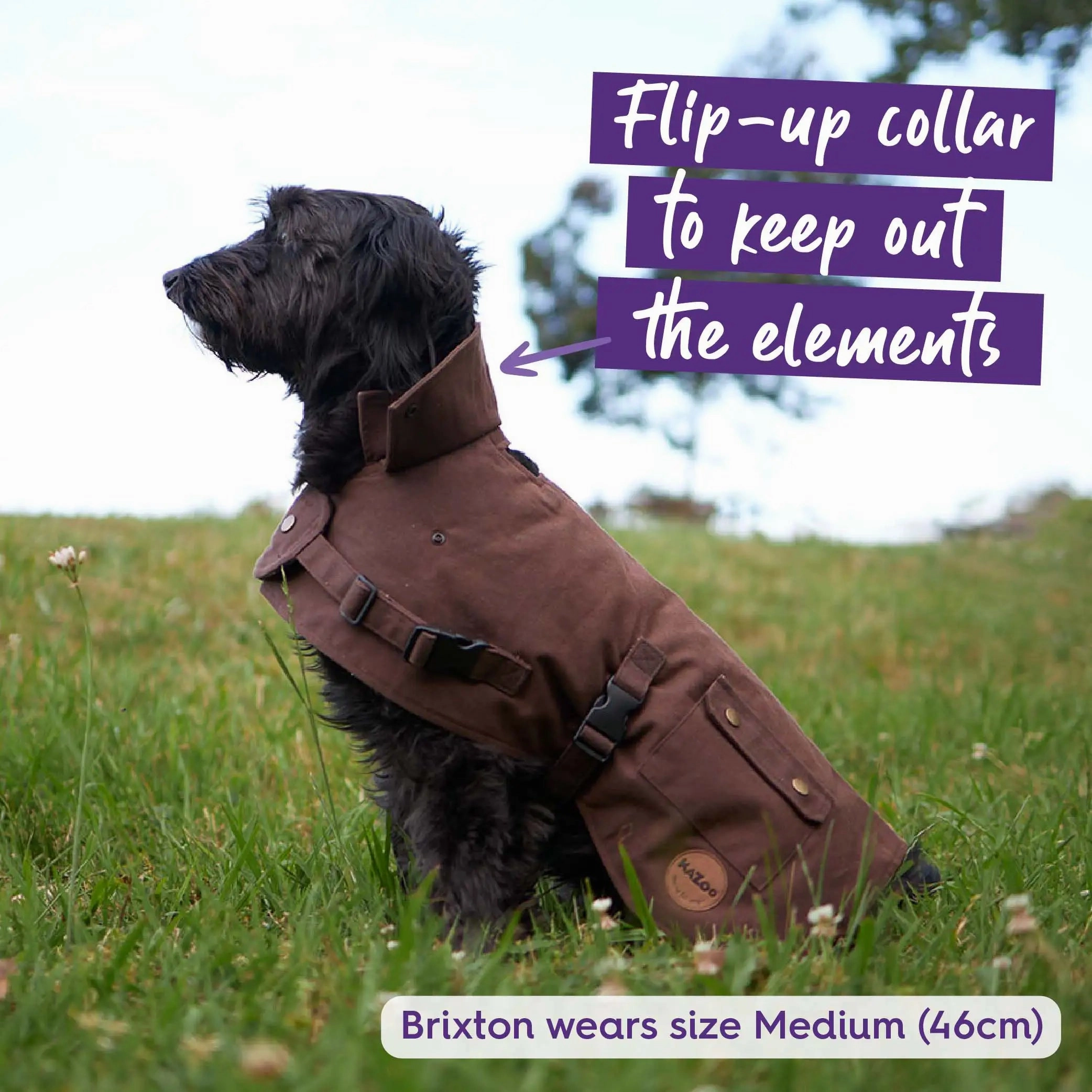 Aussie Oilskin Waterproof Dog Coat - Brown