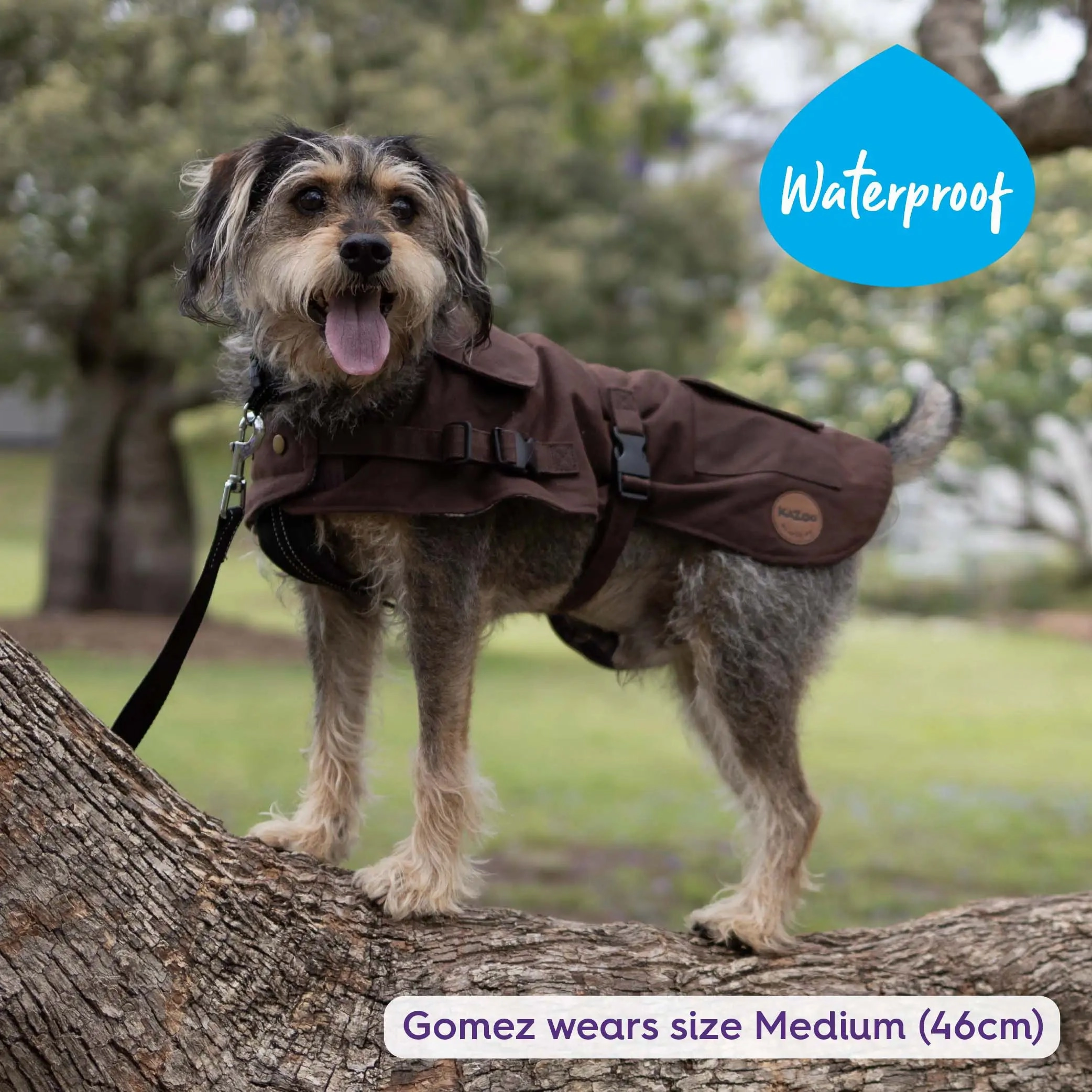 Aussie Oilskin Waterproof Dog Coat - Brown