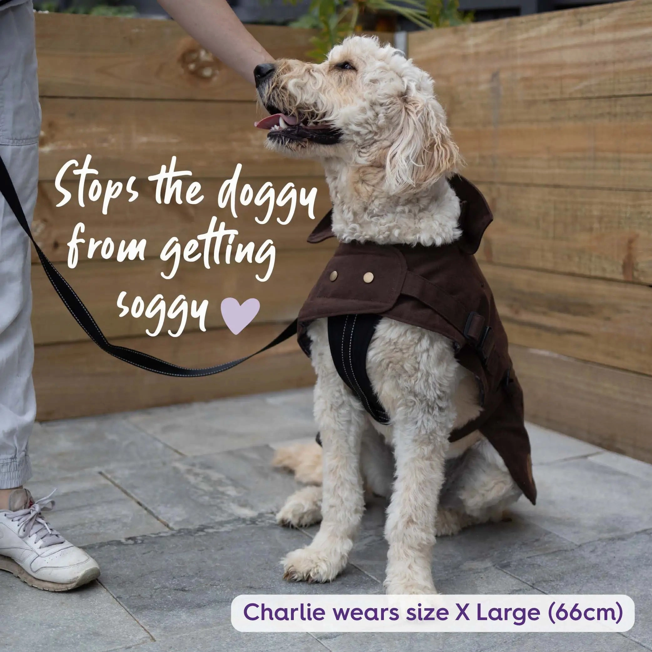 Aussie Oilskin Waterproof Dog Coat - Brown