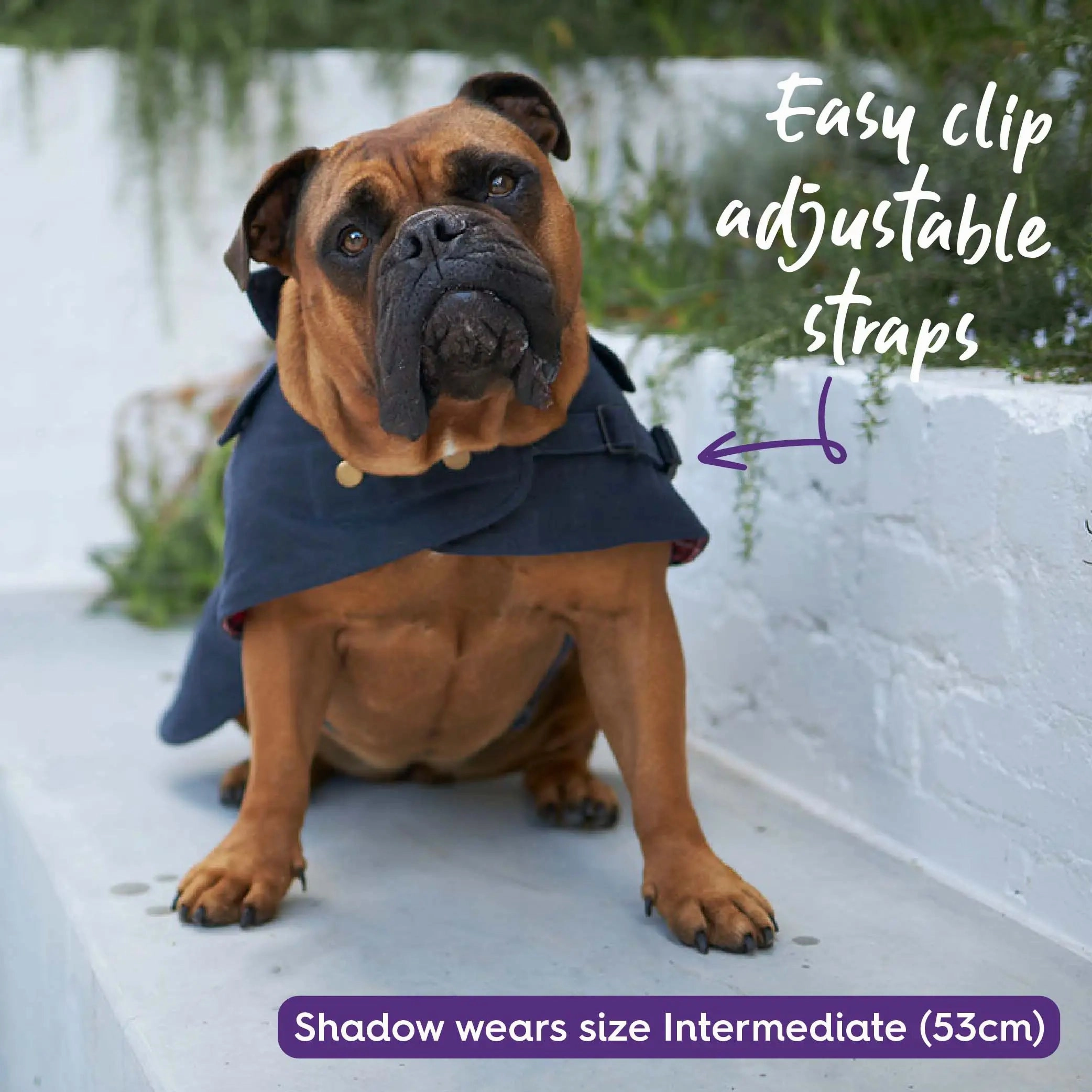 Aussie Oilskin Waterproof Dog Coat - Navy