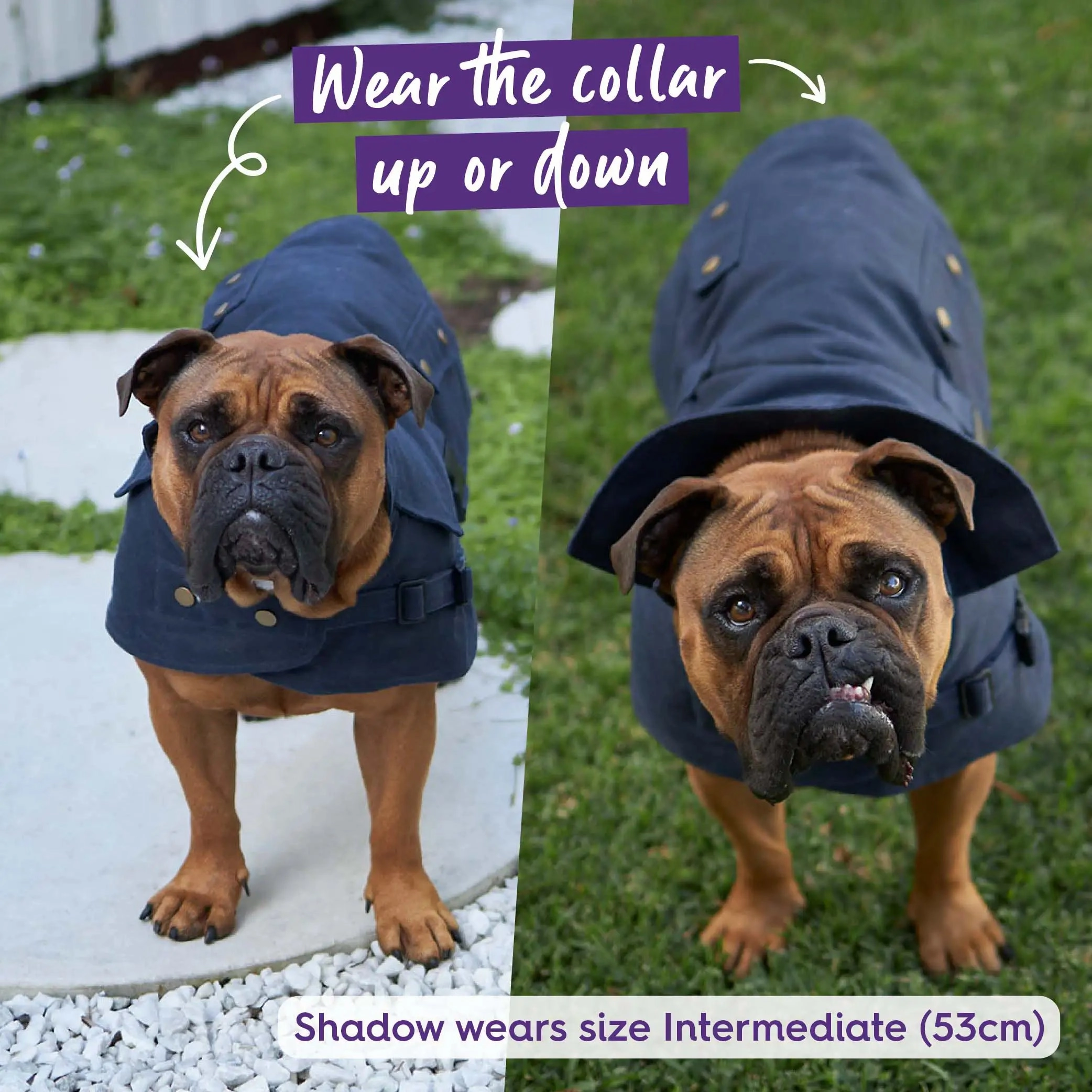Aussie Oilskin Waterproof Dog Coat - Navy