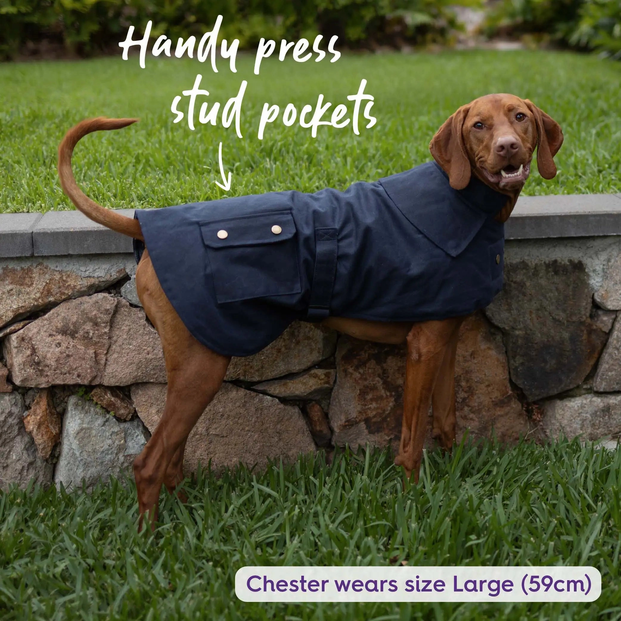 Aussie Oilskin Waterproof Dog Coat - Navy
