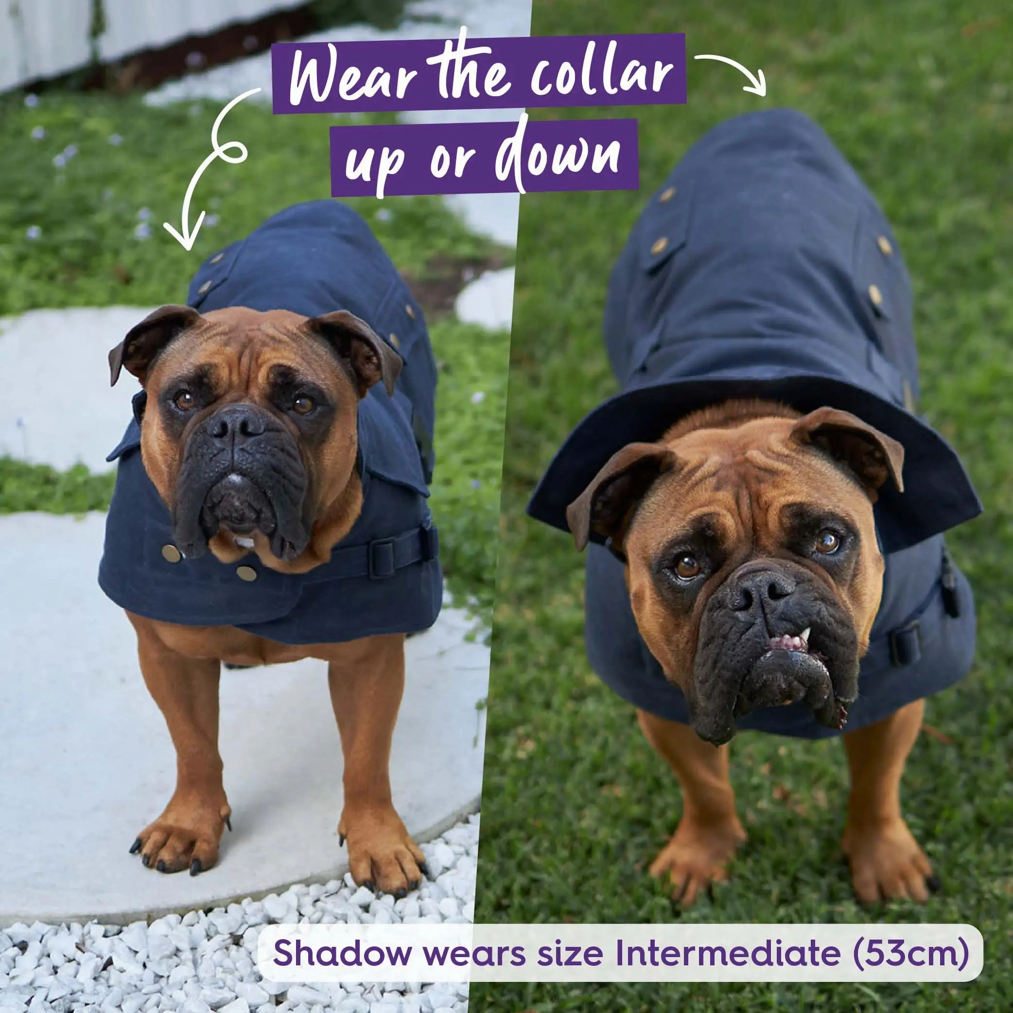 Aussie Oilskin Waterproof Dog Coat - Navy